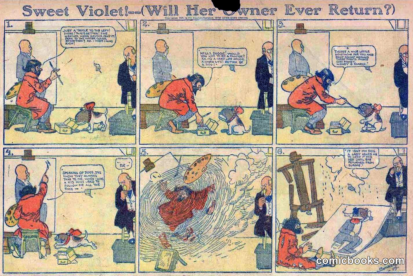 Sweet Violet—(Will Her Owner Ever Return?)