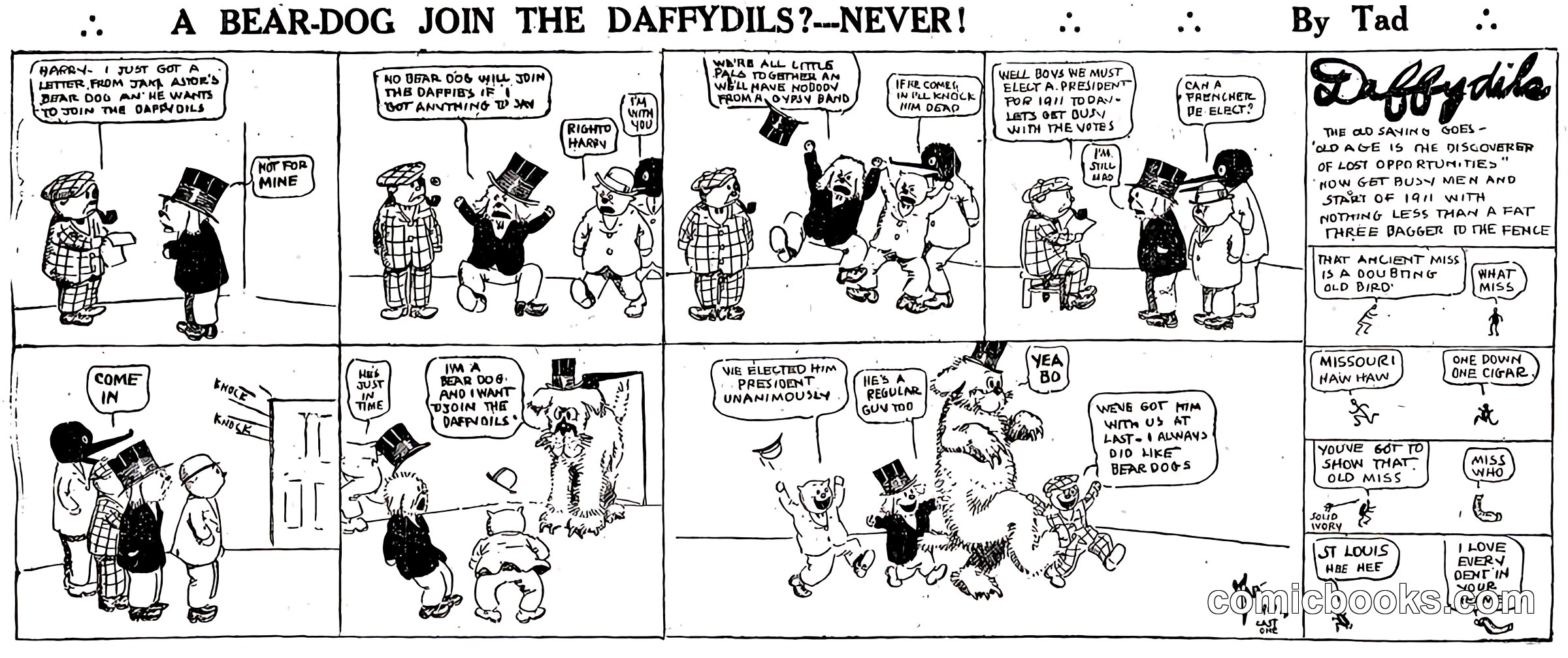 A Bear-Dog Join the Daffydils?—Never!