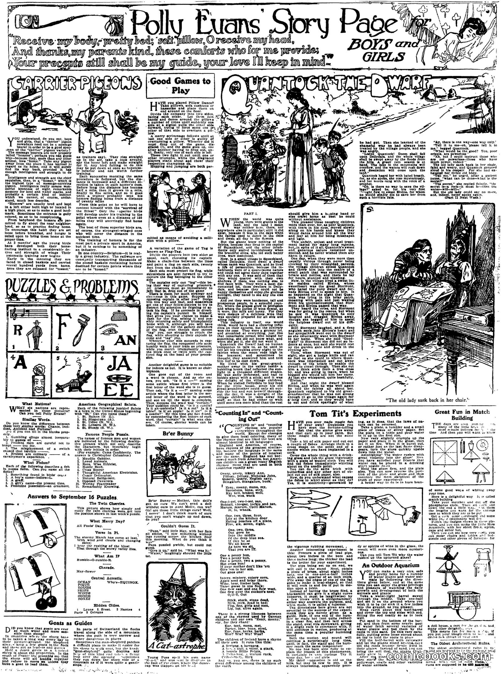 Polly Evans Story Page