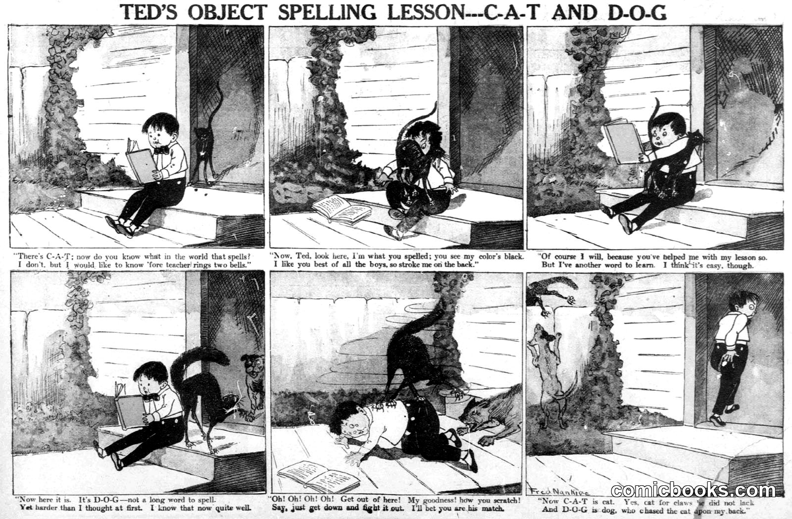 Ted's Object Spelling Lesson—C-A-T and D-O-G