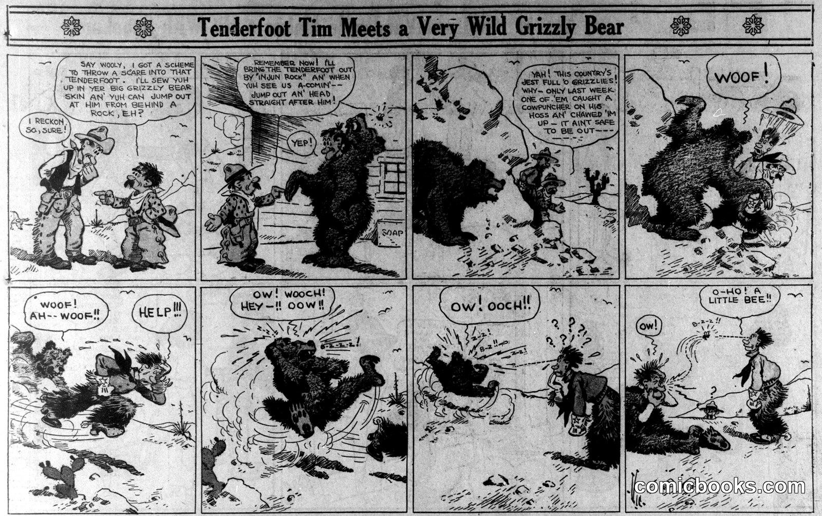 Tenderfoot Tim Meets a Very Wild Grizzly Bear