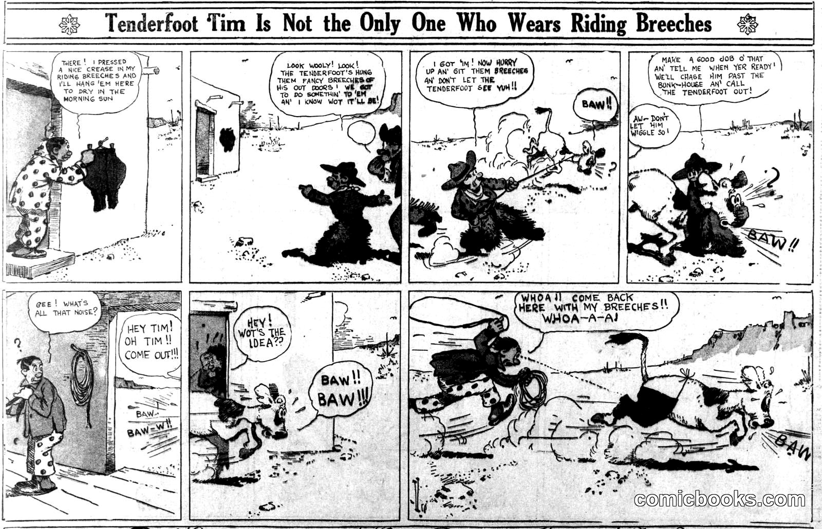 Tenderfoot Tim Is Not the Only One Who Wears Riding Breeches