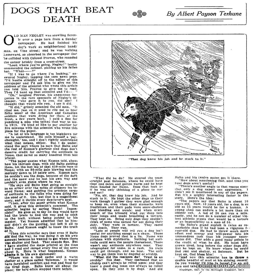 Dogs That Beat Death