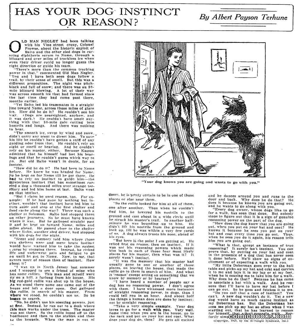 Has Your Dog Instinct or Reason?