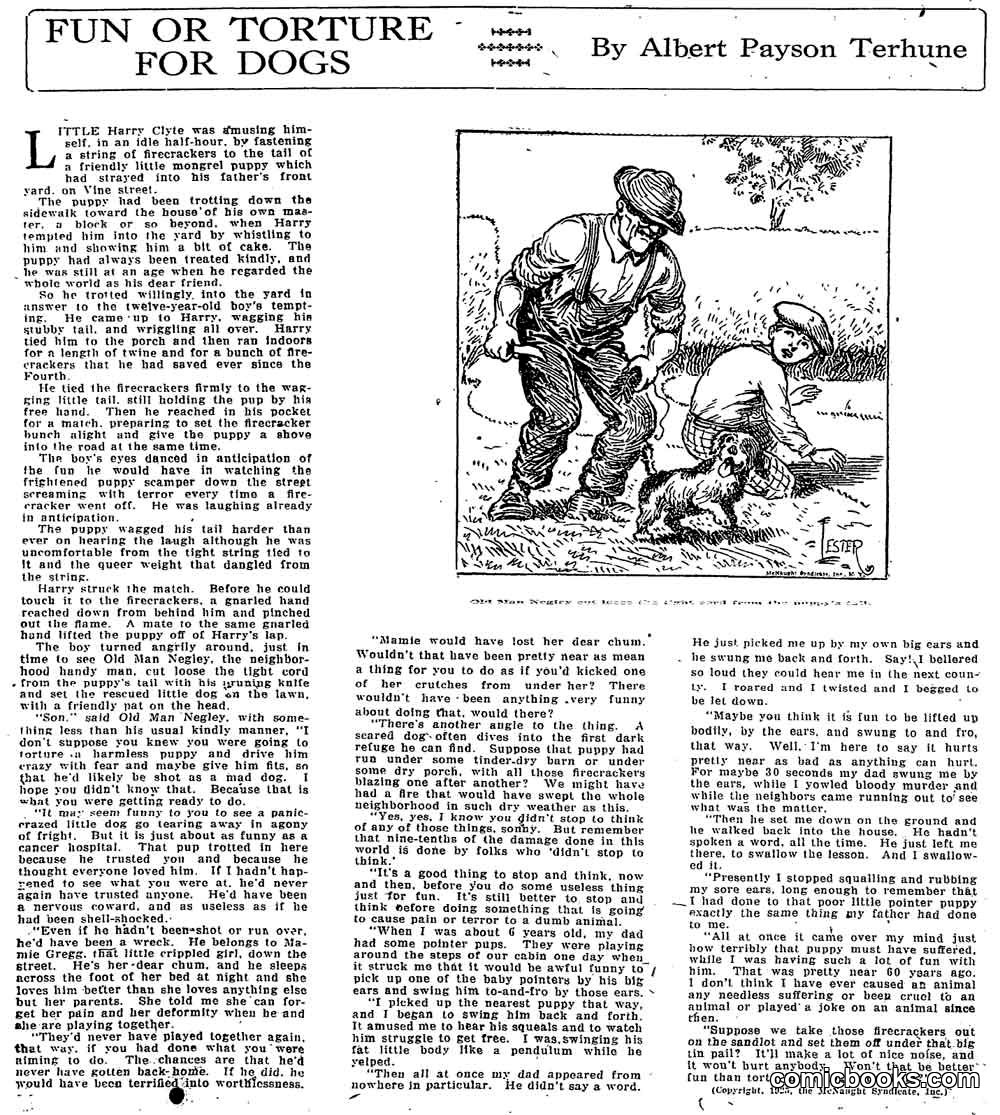 Fun or Torture for Dogs