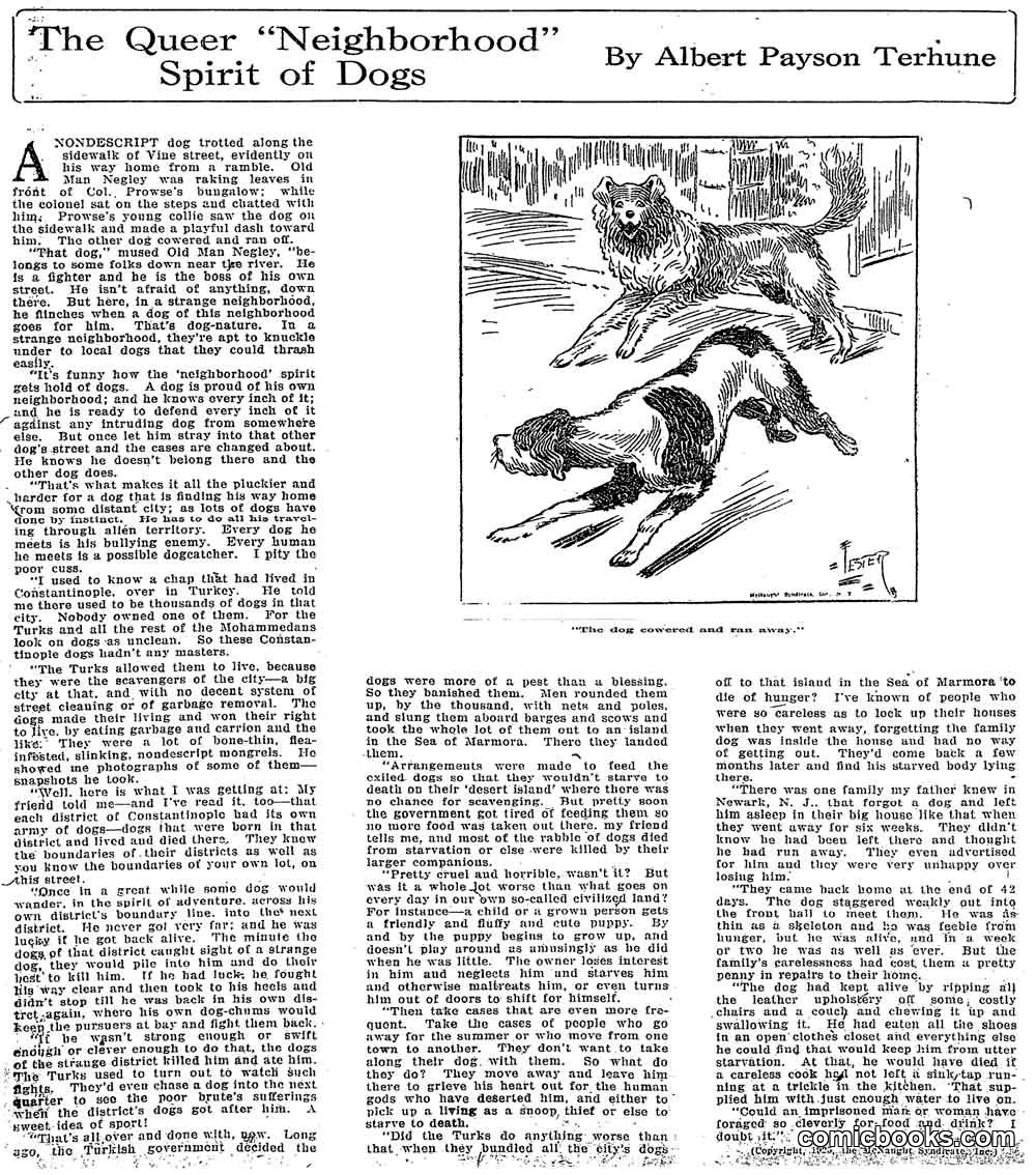 The Queer 'Neighborhood' Spirit of Dogs