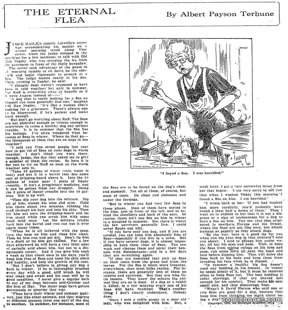 The Eternal Flea