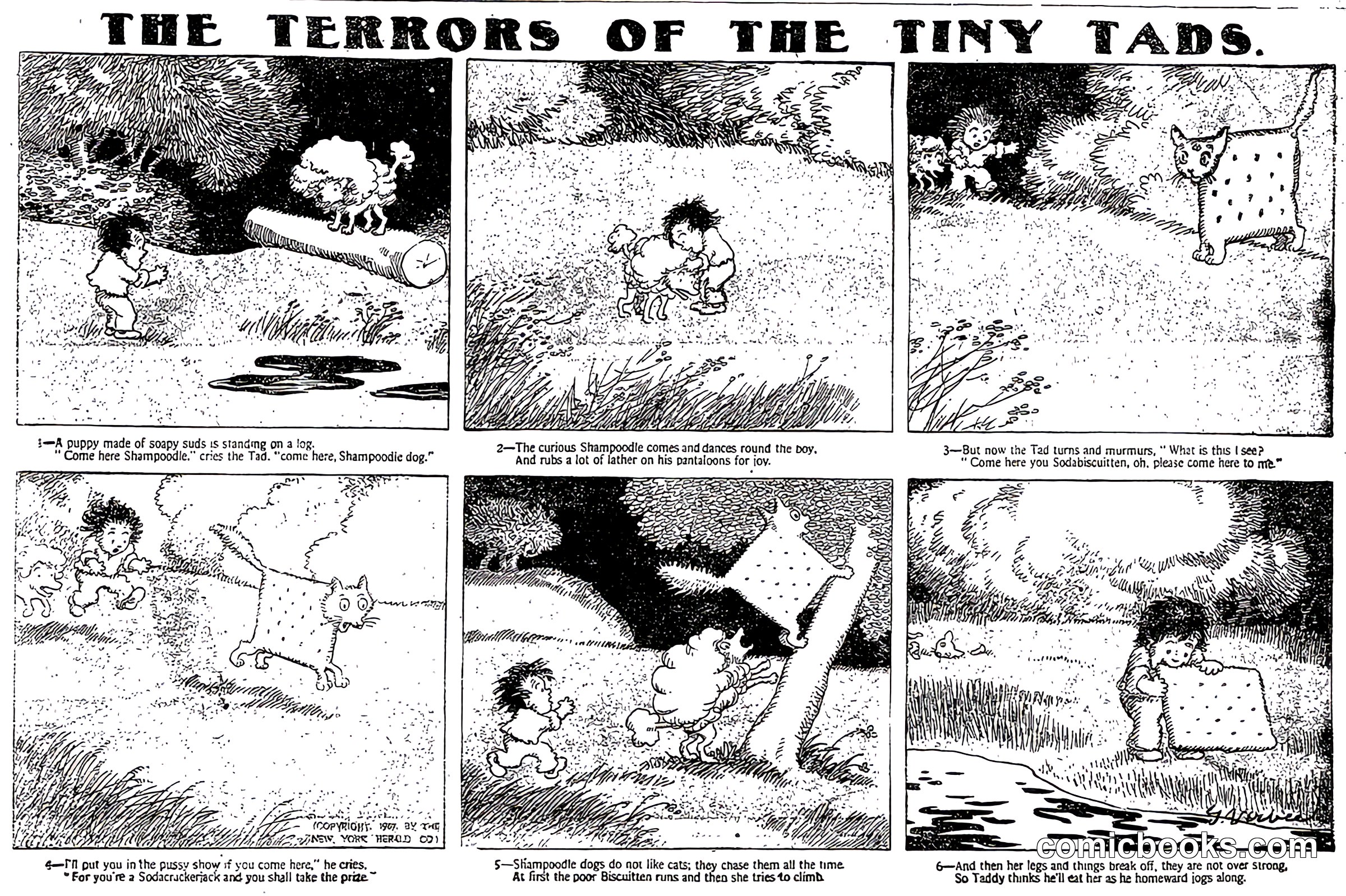 The Terrors of the Tiny Tads