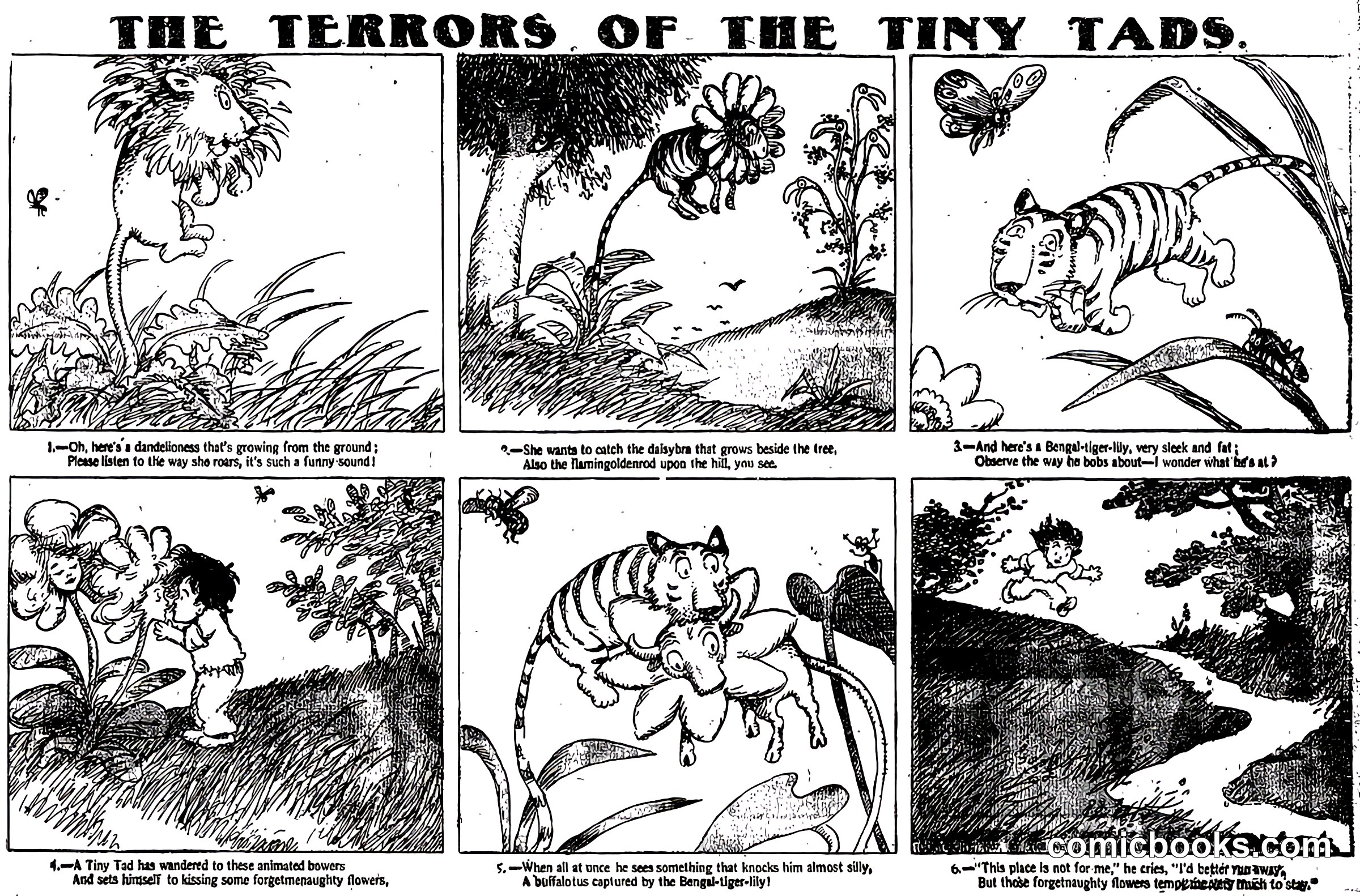The Terrors of the Tiny Tads