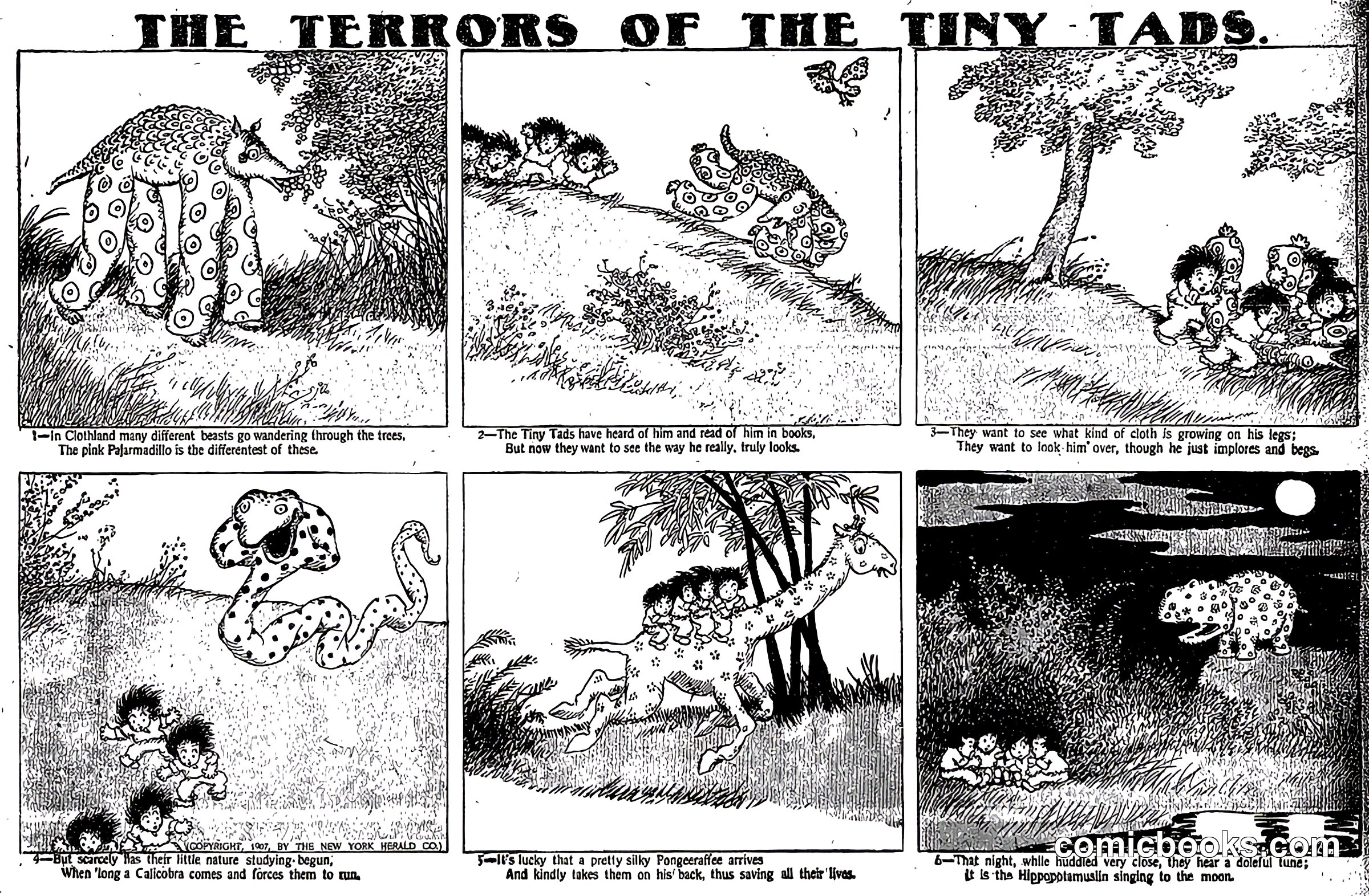 The Terrors of the Tiny Tads