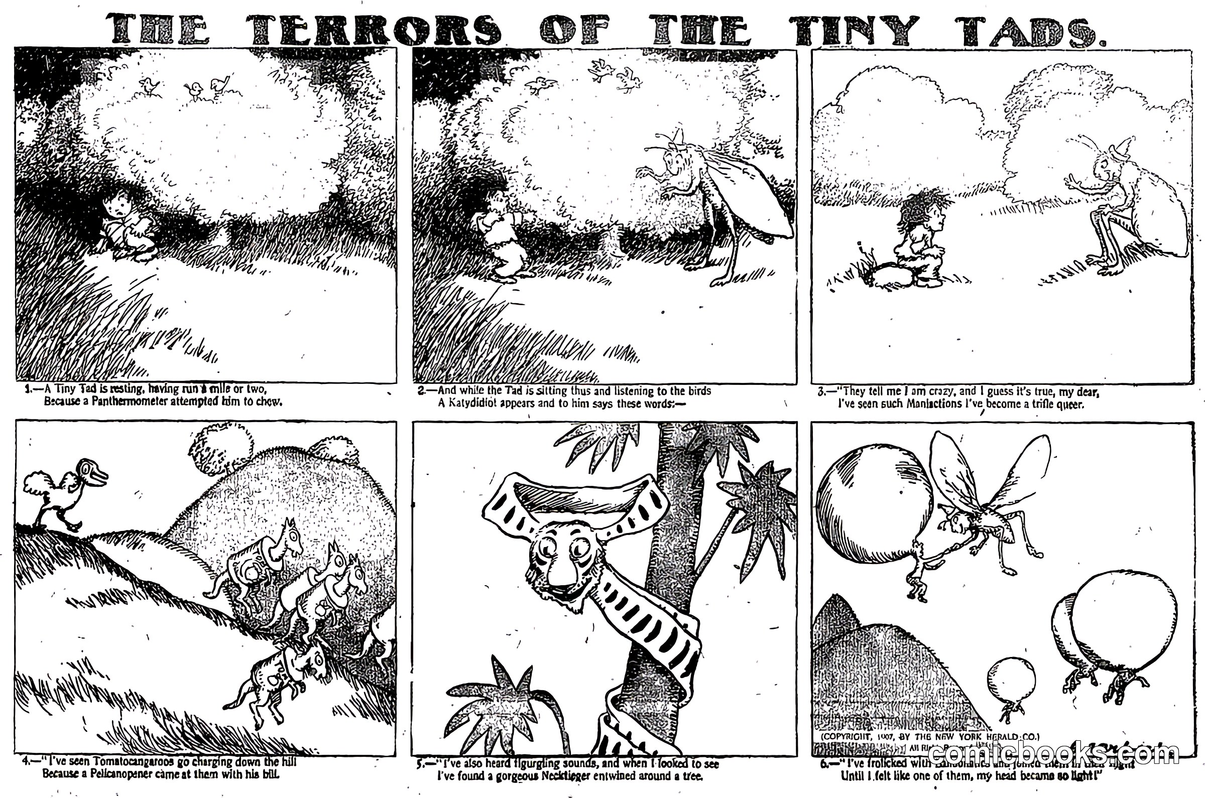 The Terrors of the Tiny Tads