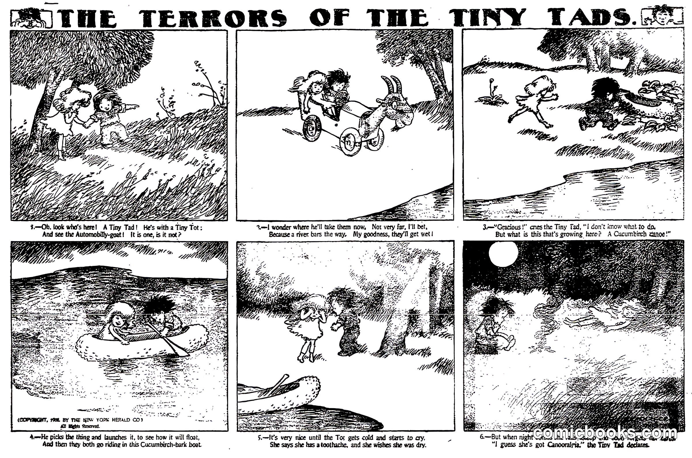The Terrors of the Tiny Tads
