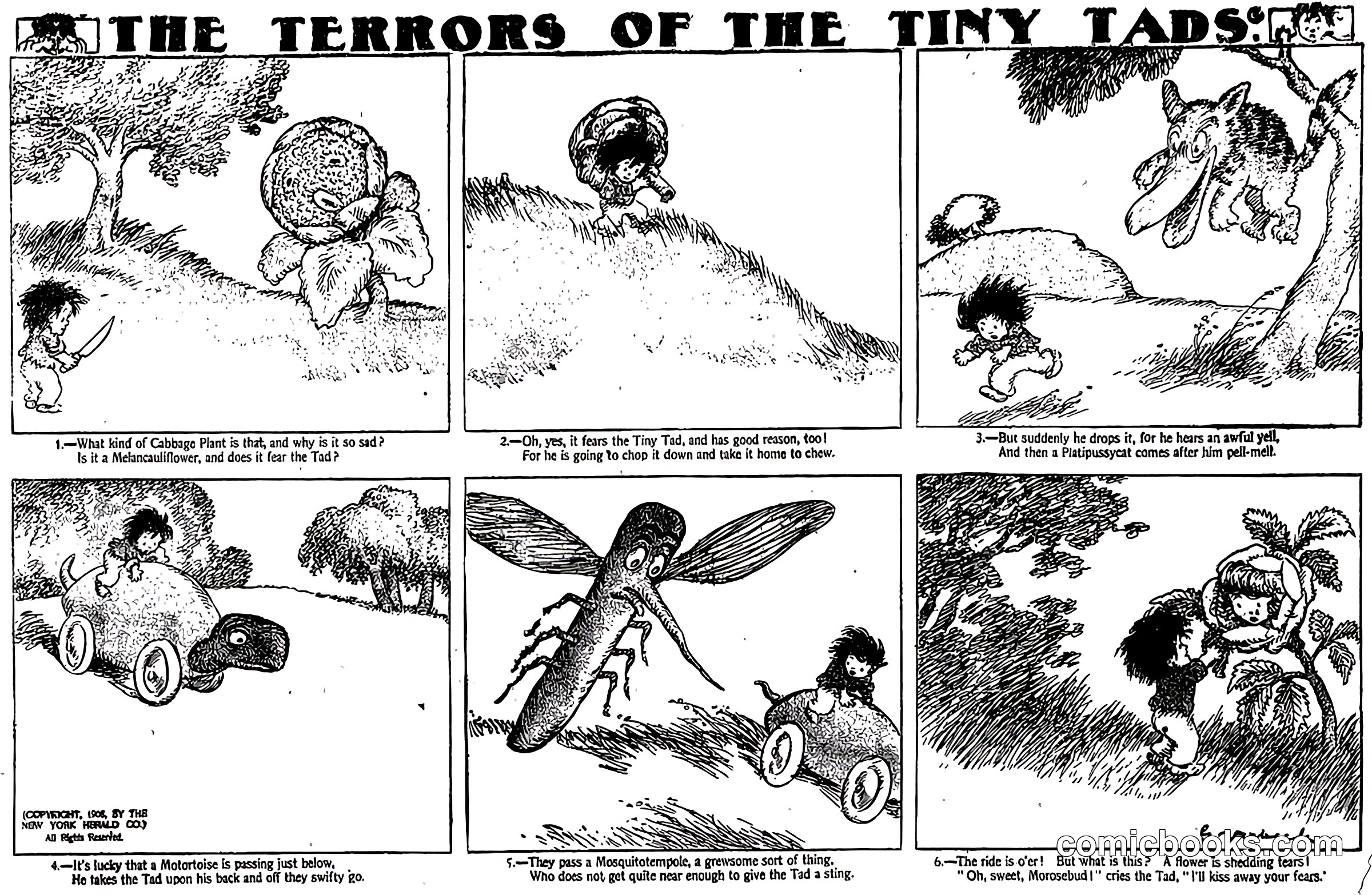 The Terrors of the Tiny Tads