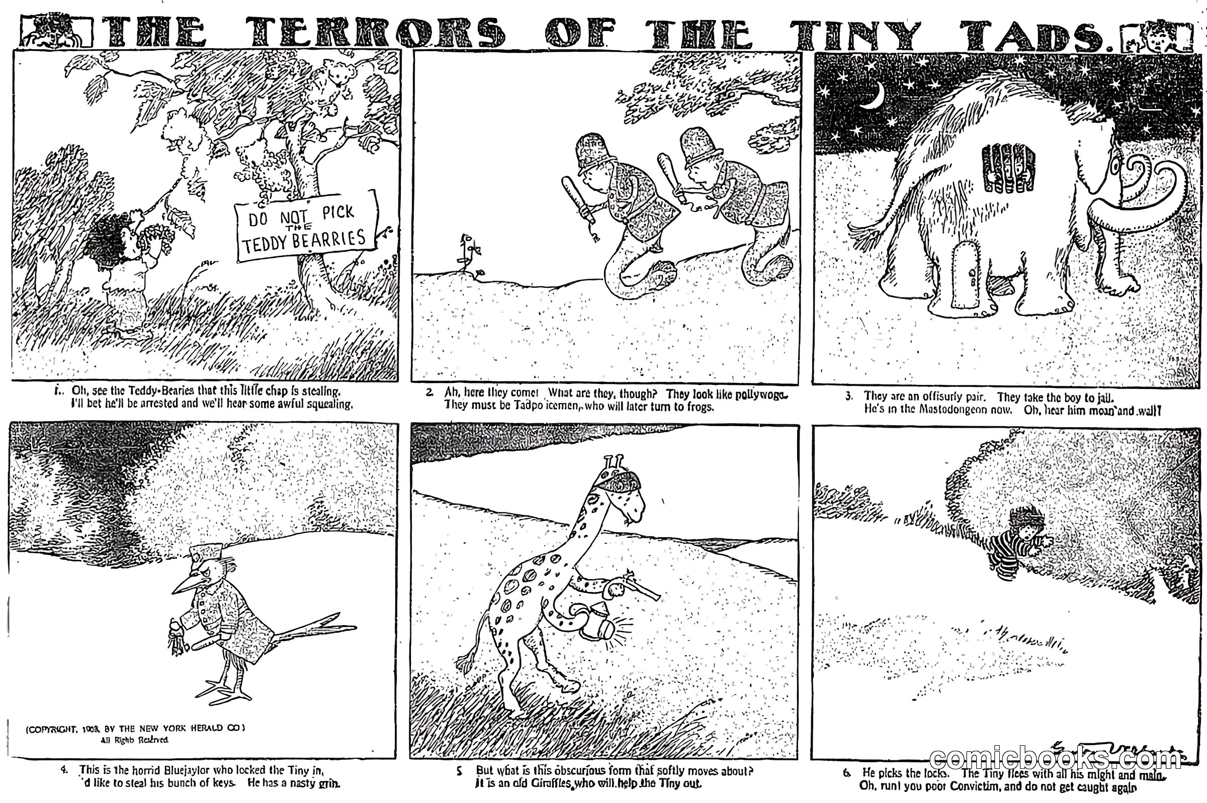 The Terrors of the Tiny Tads