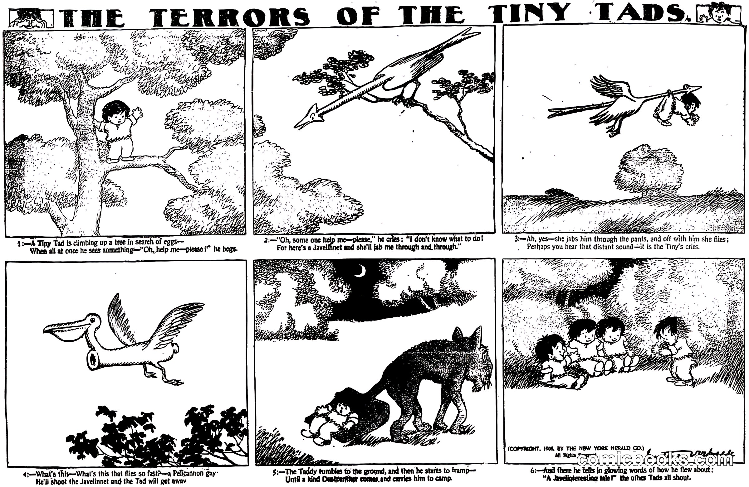 The Terrors of the Tiny Tads