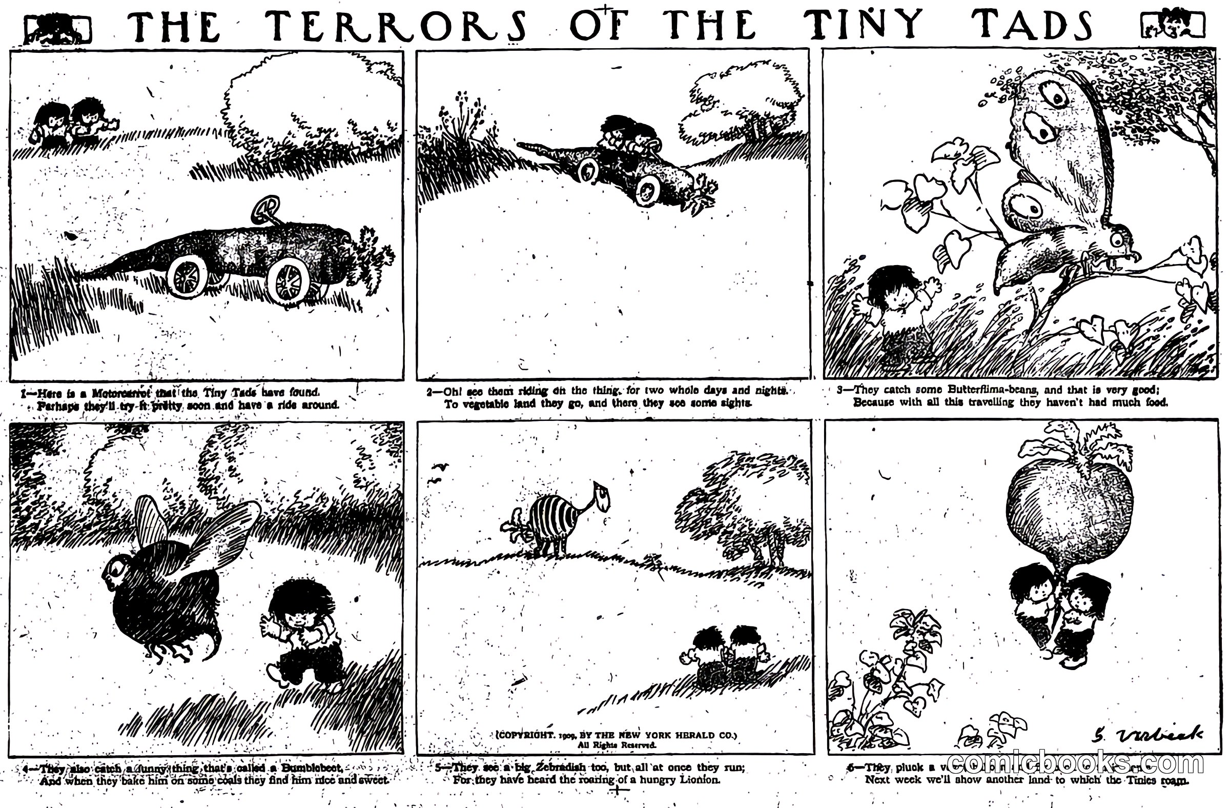 The Terrors of the Tiny Tads