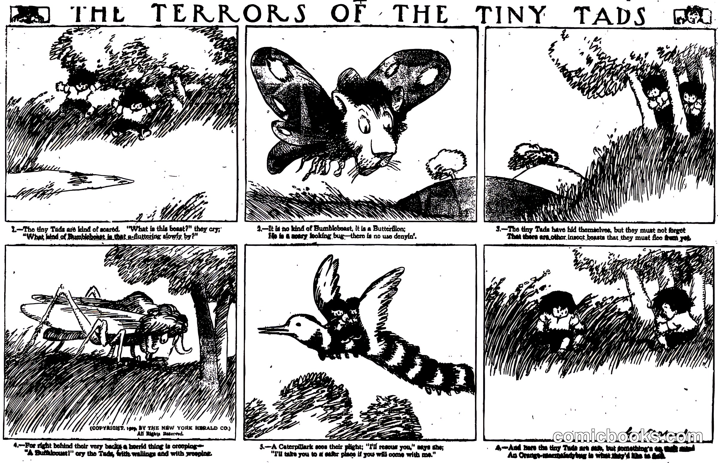 The Terrors of the Tiny Tads