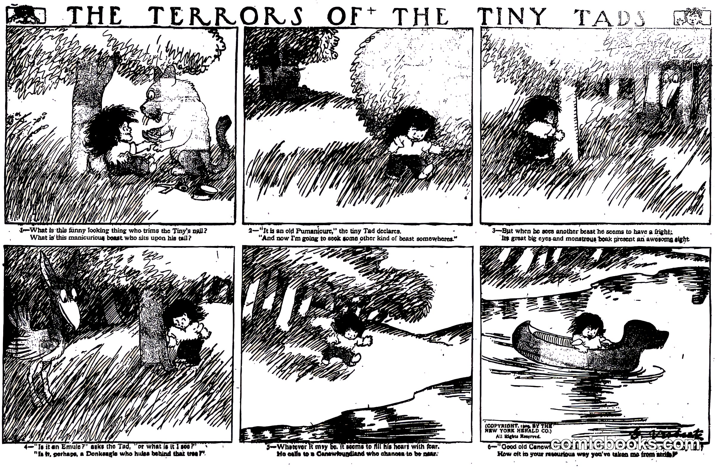 The Terrors of the Tiny Tads