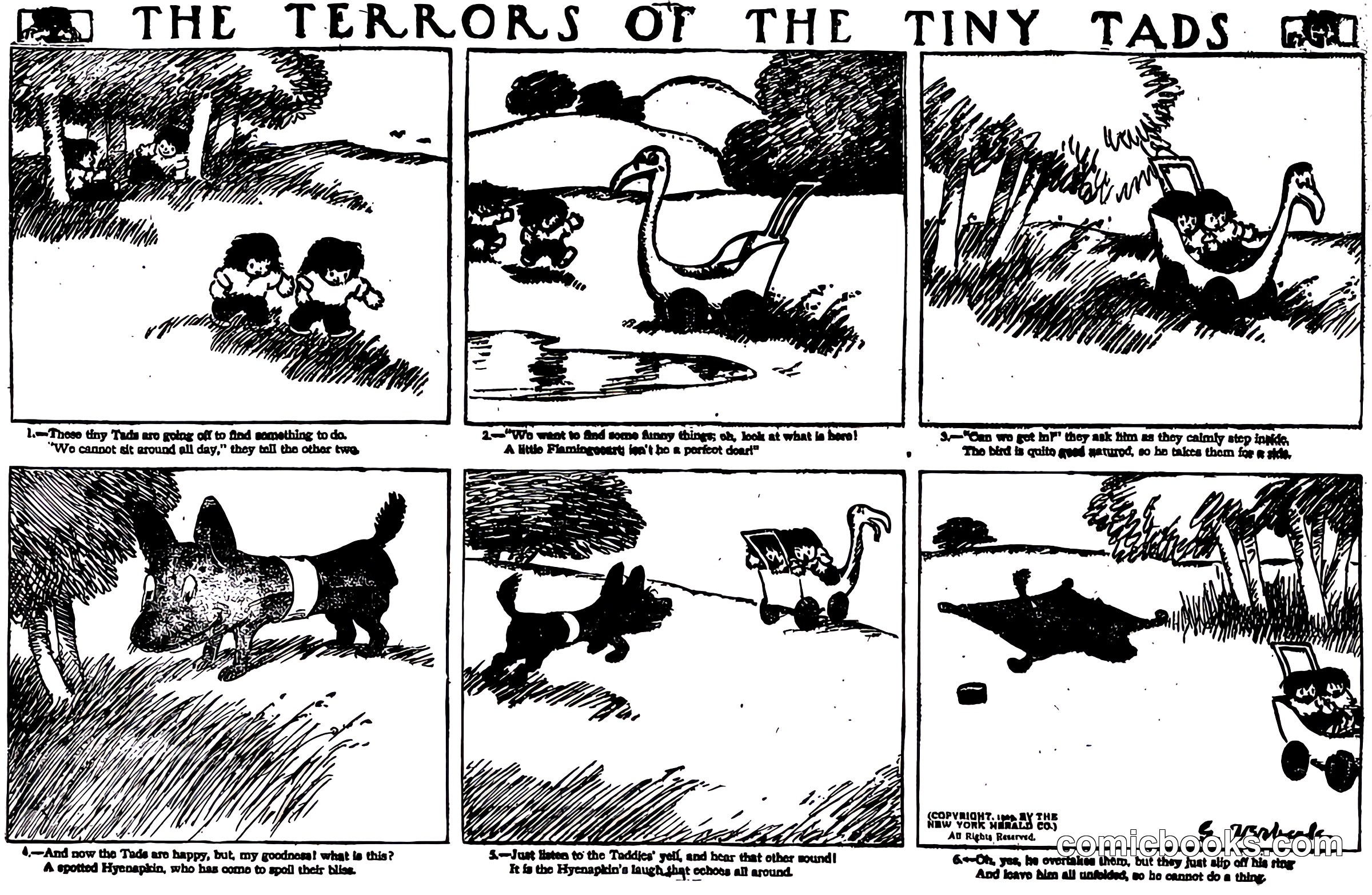 The Terrors of the Tiny Tads