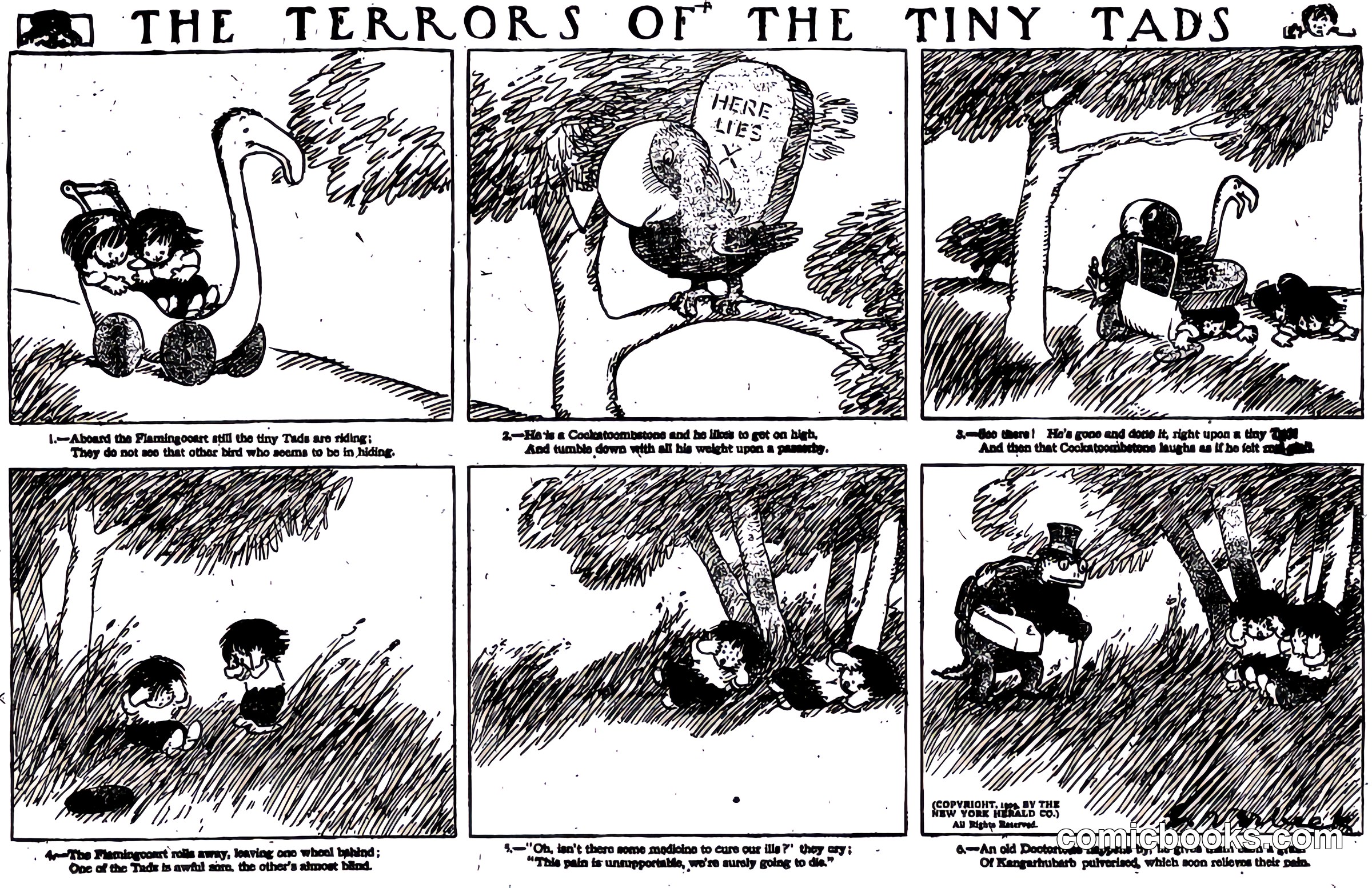 The Terrors of the Tiny Tads
