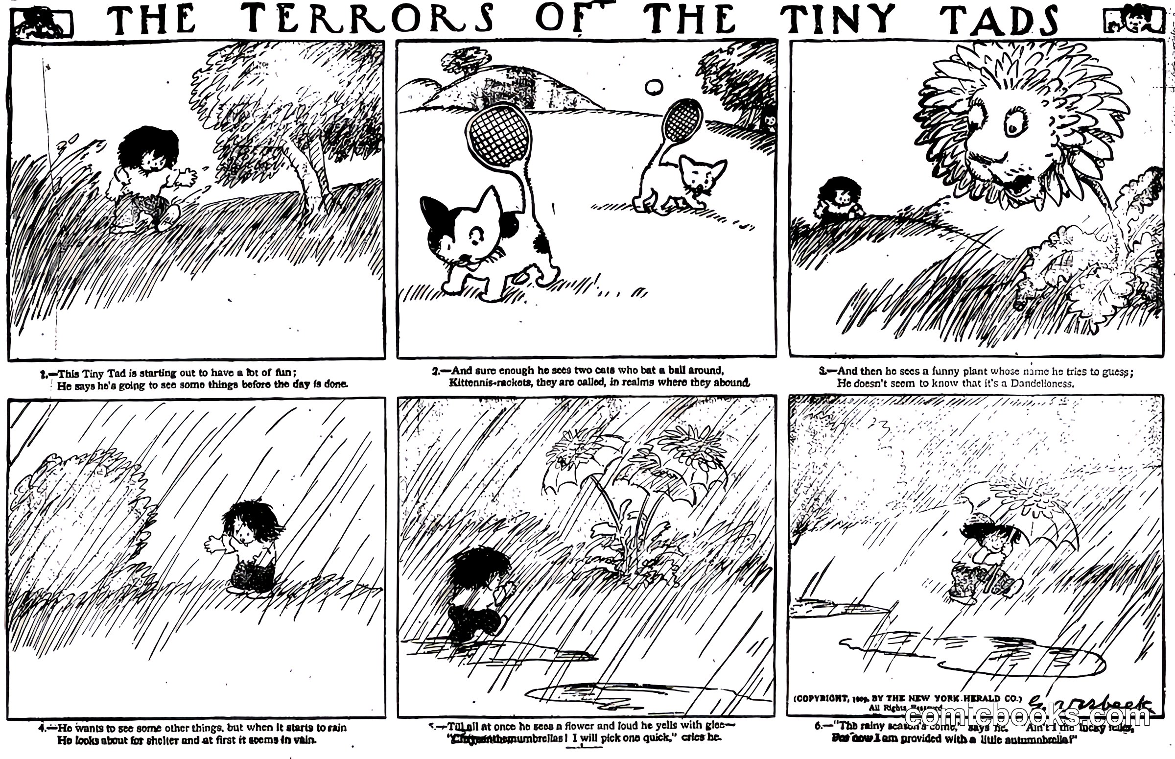 The Terrors of the Tiny Tads