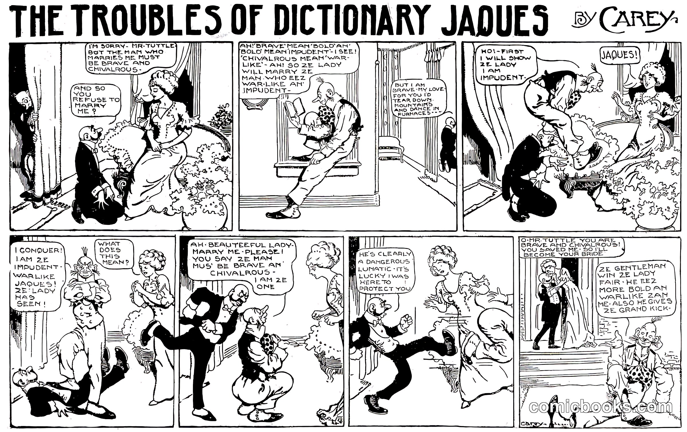 The Troubles of Dictionary Jaques