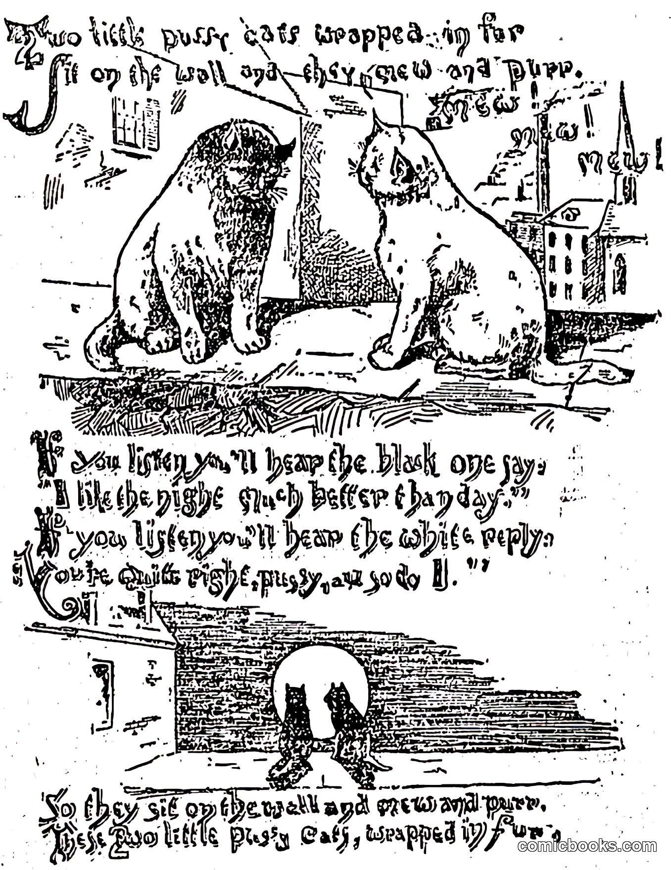 Two Little Pussy Cats Wrapped in Fur