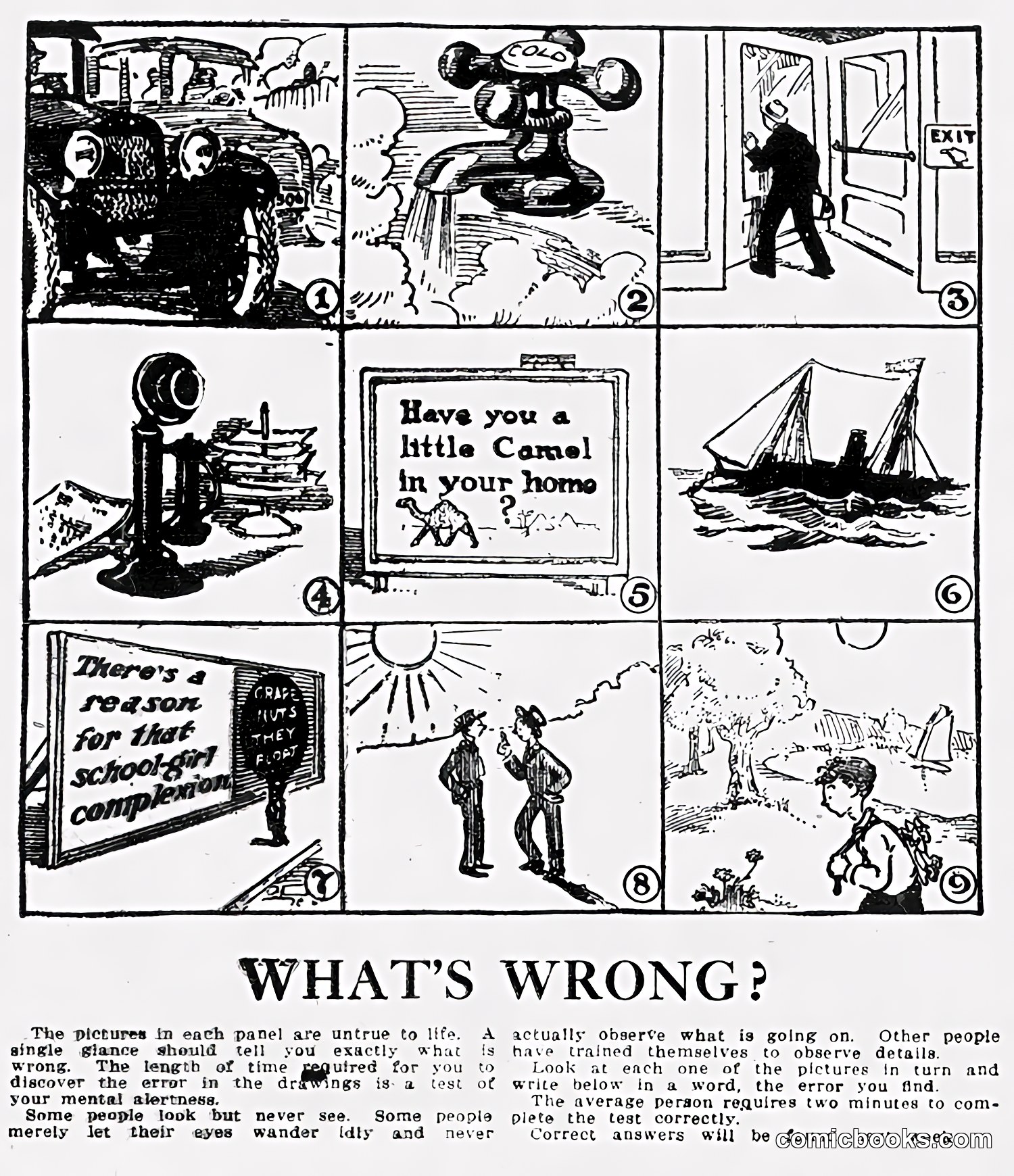 What's Wrong? Puzzle Comic