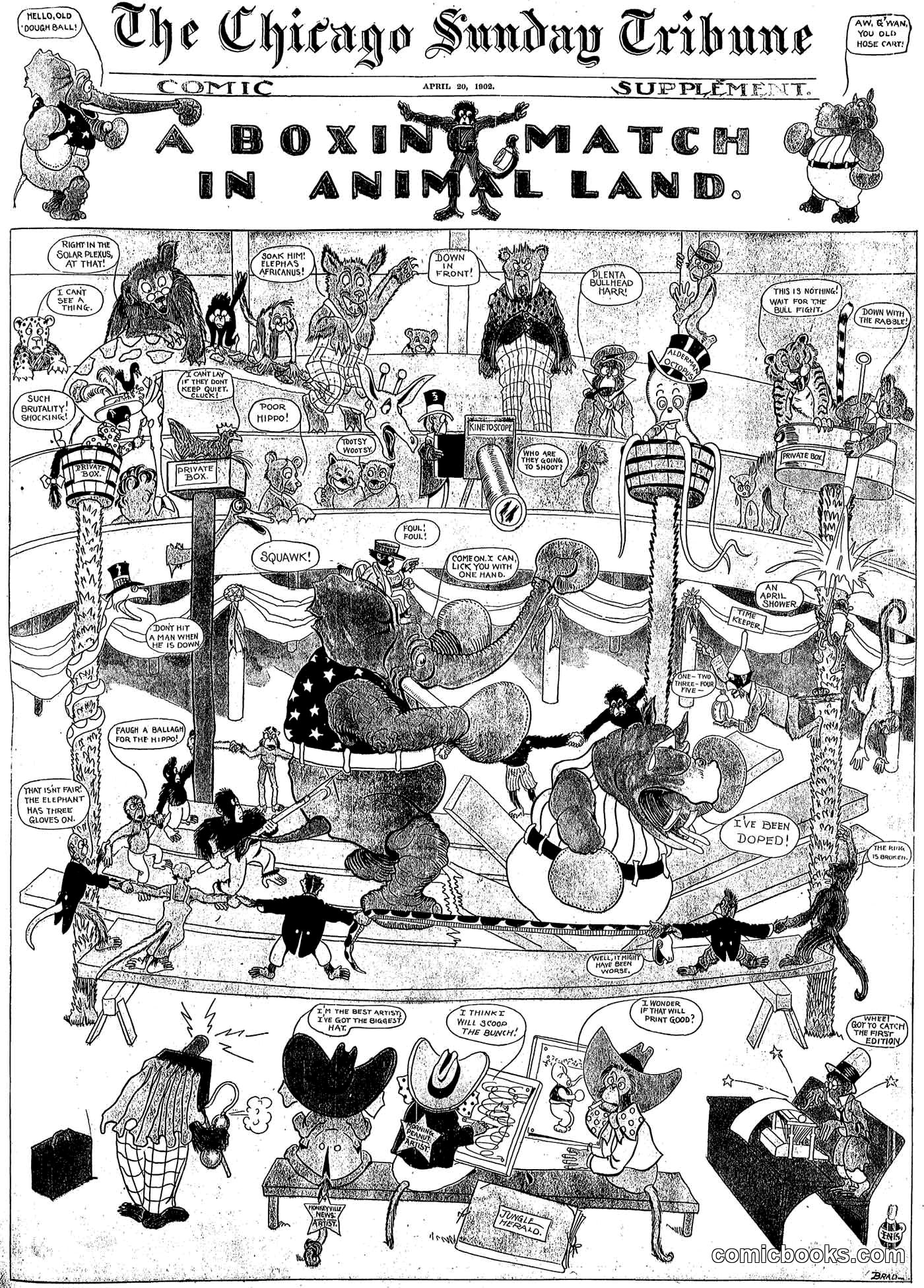 A Boxing Match in Animal Land