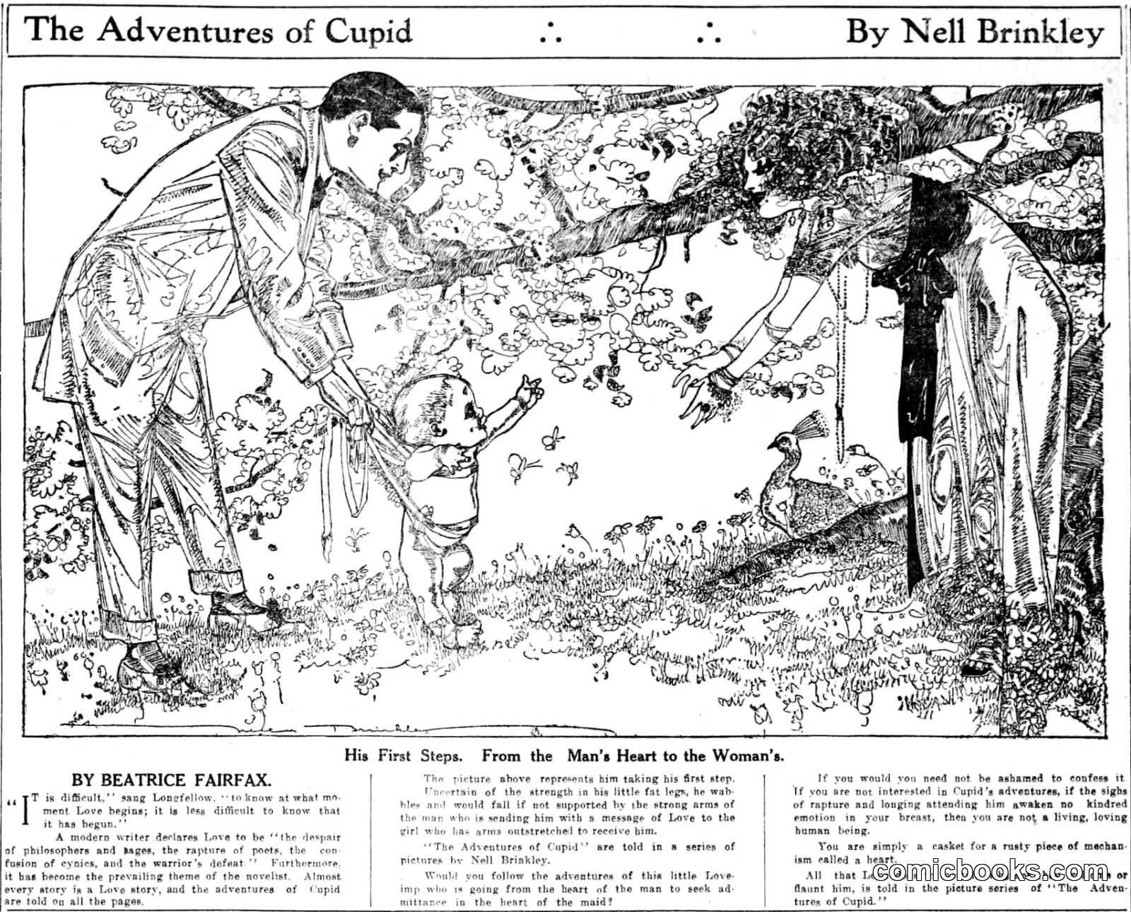 The Adventures of Cupid