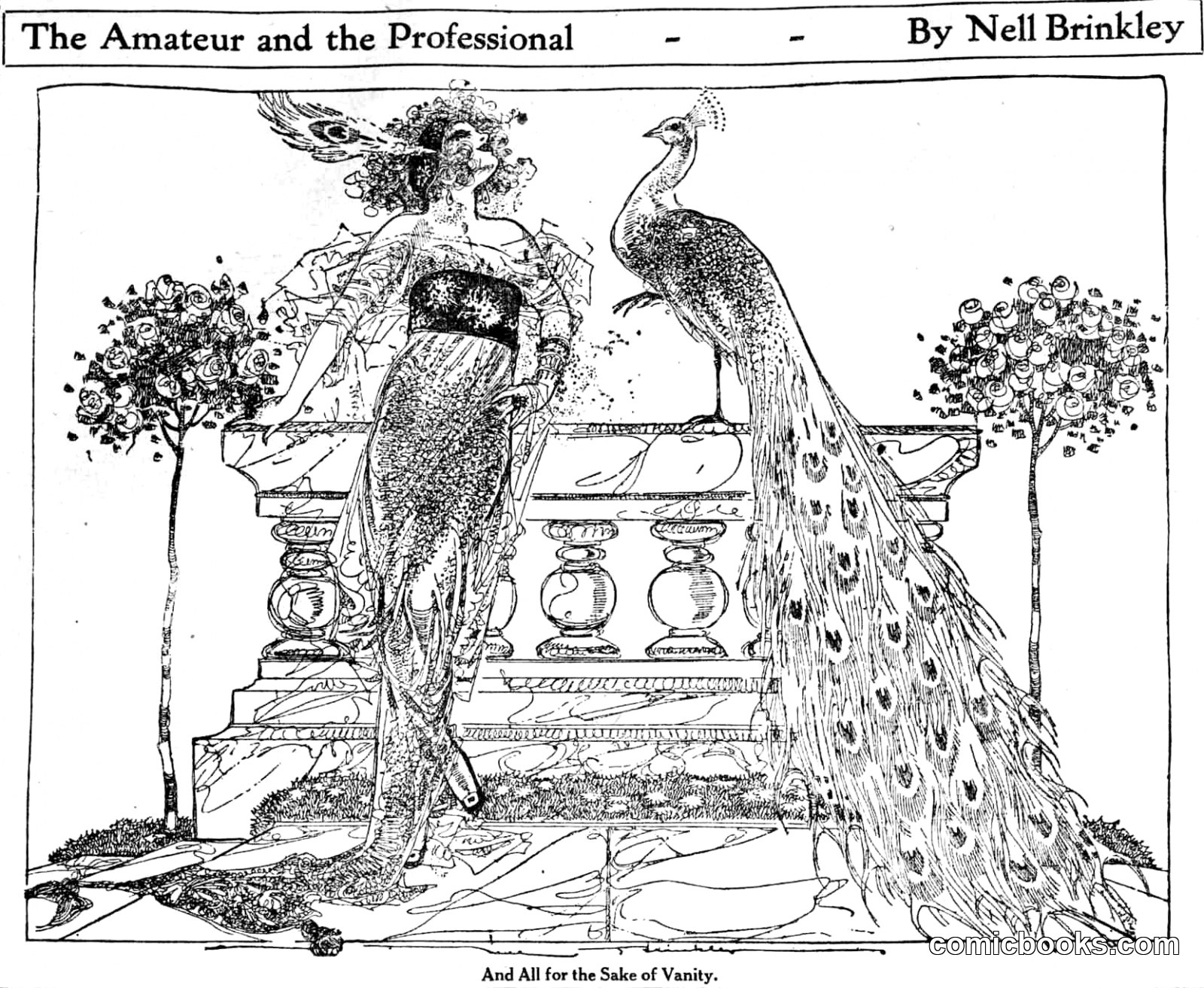 The Amateur and the Professional