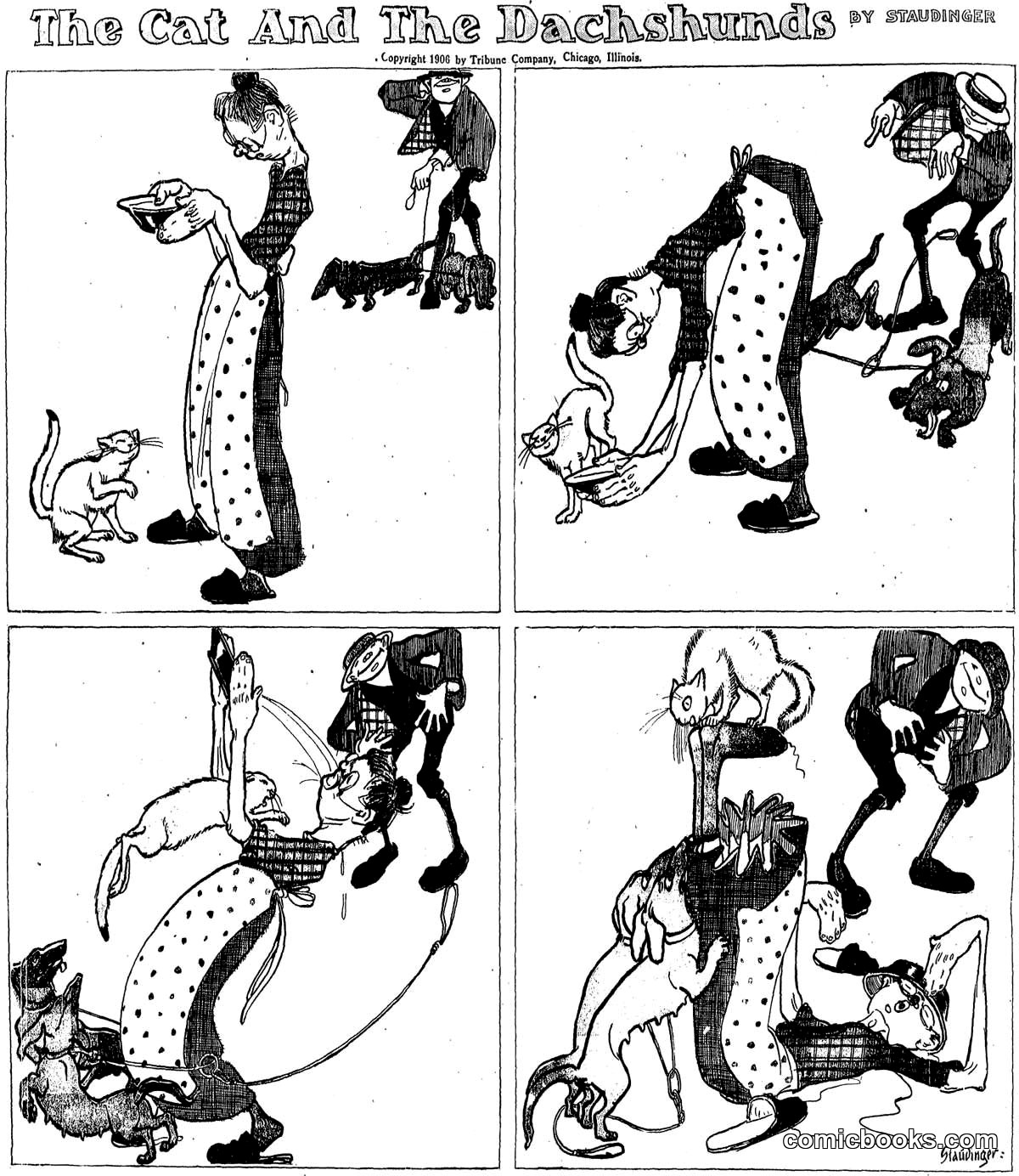 The Cat and the Dachshunds