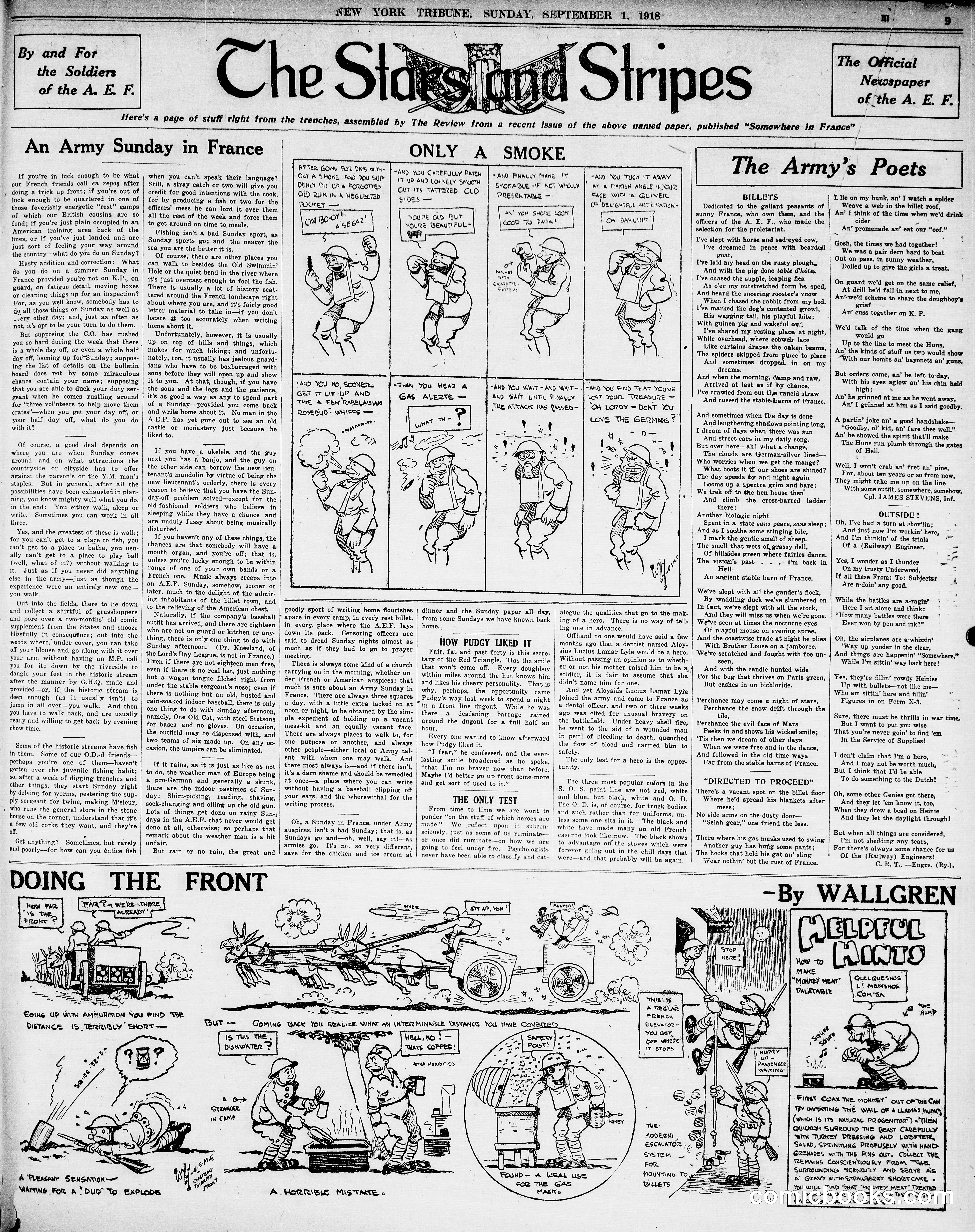 The Stars and Stripes and Other Comics