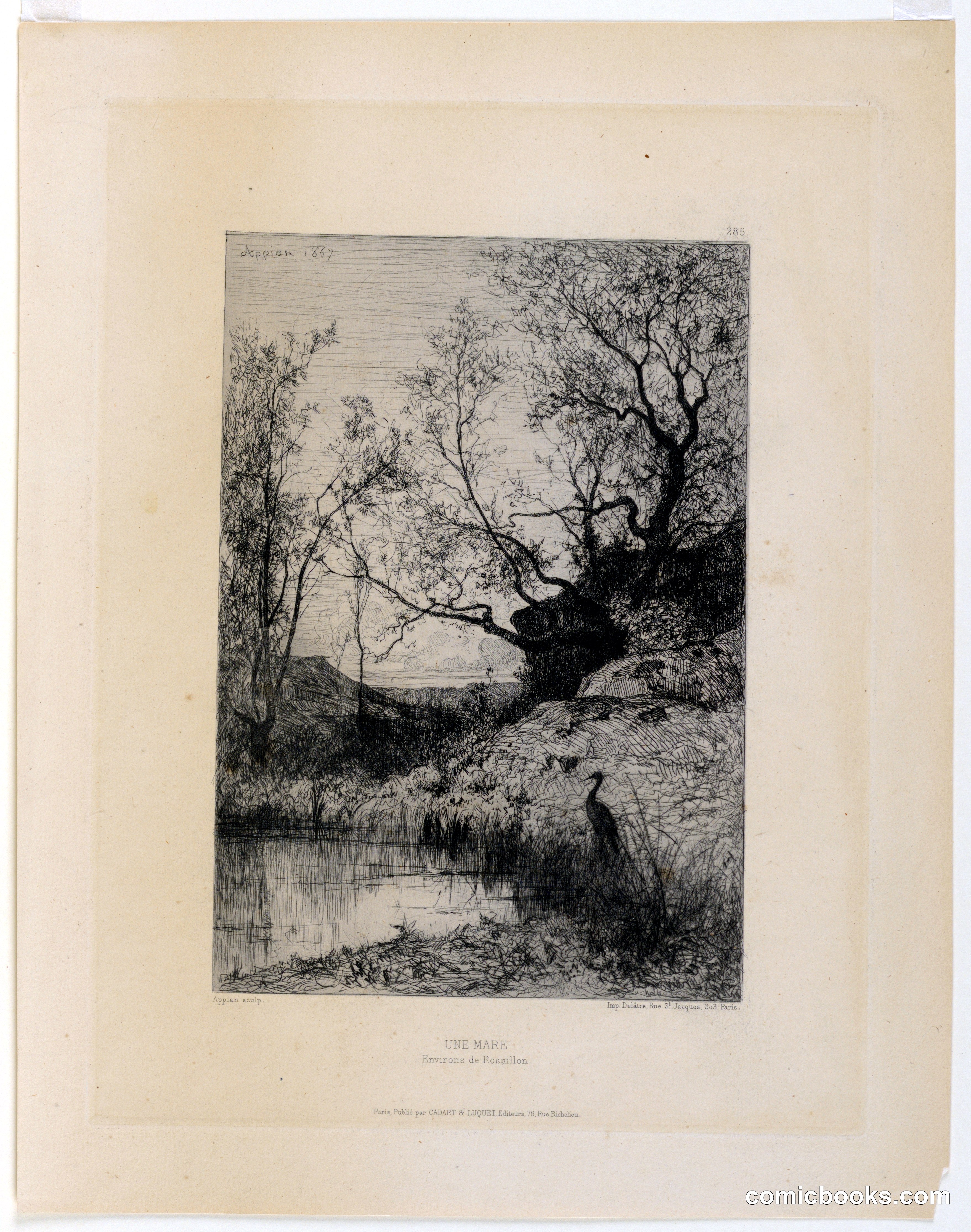 Une Mare (Environs de Rossilon)