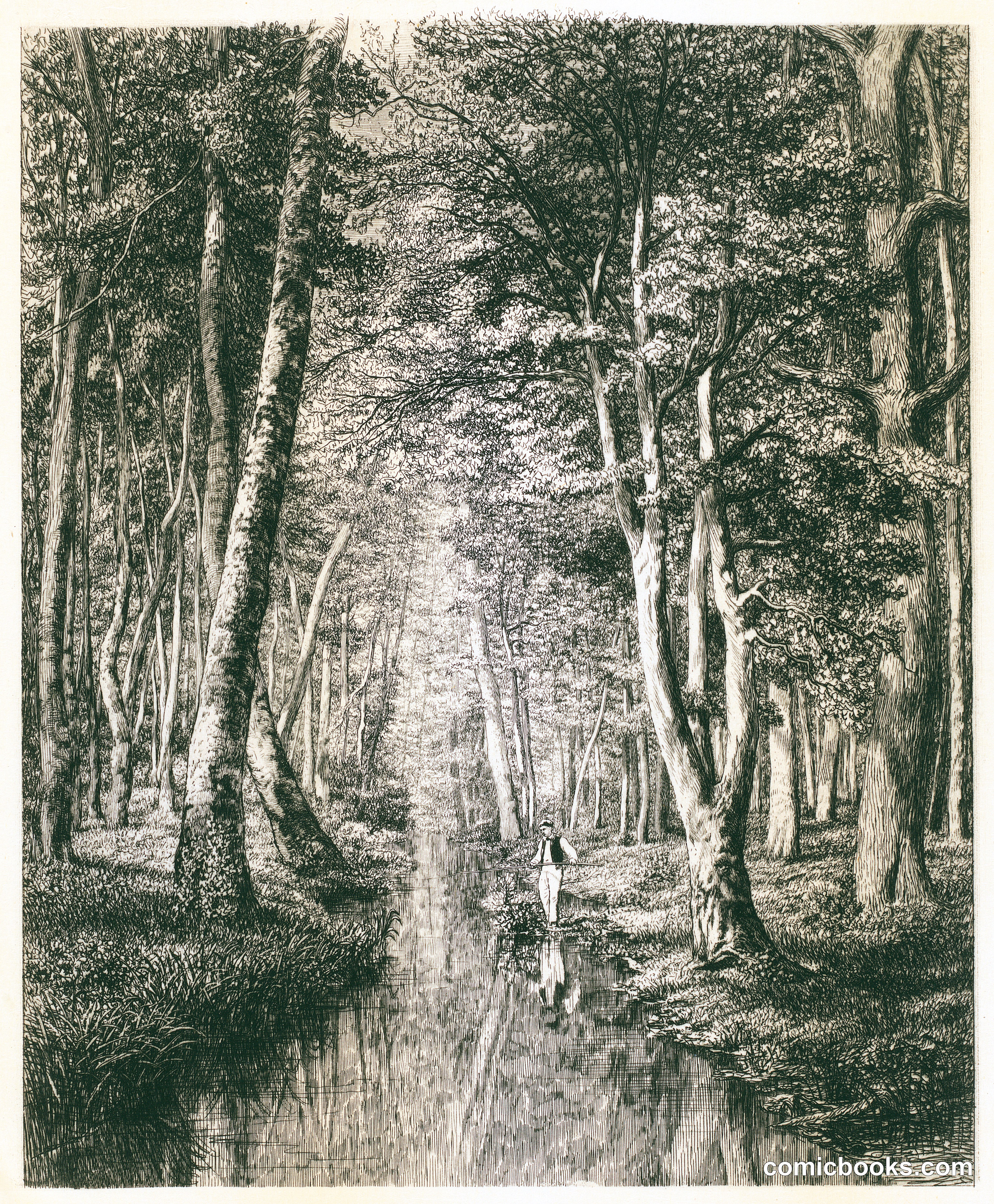 Rivière sous bois