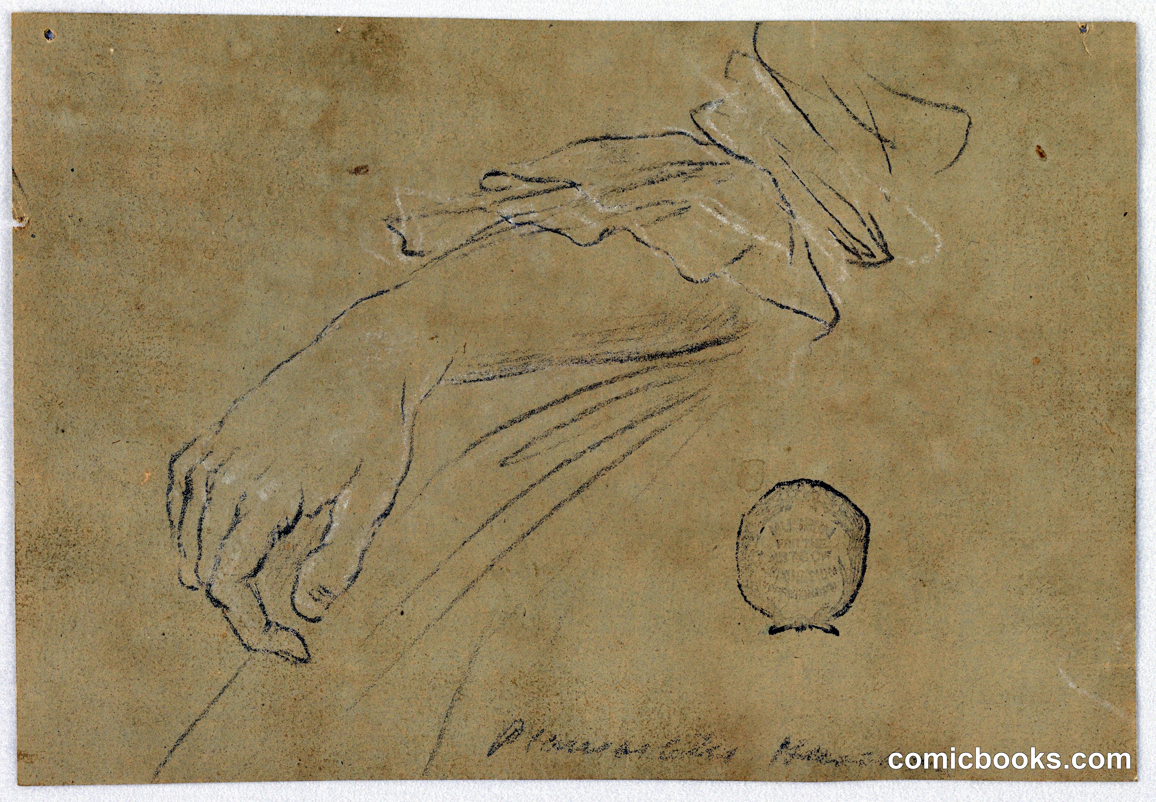 Study of a Woman's Forearm