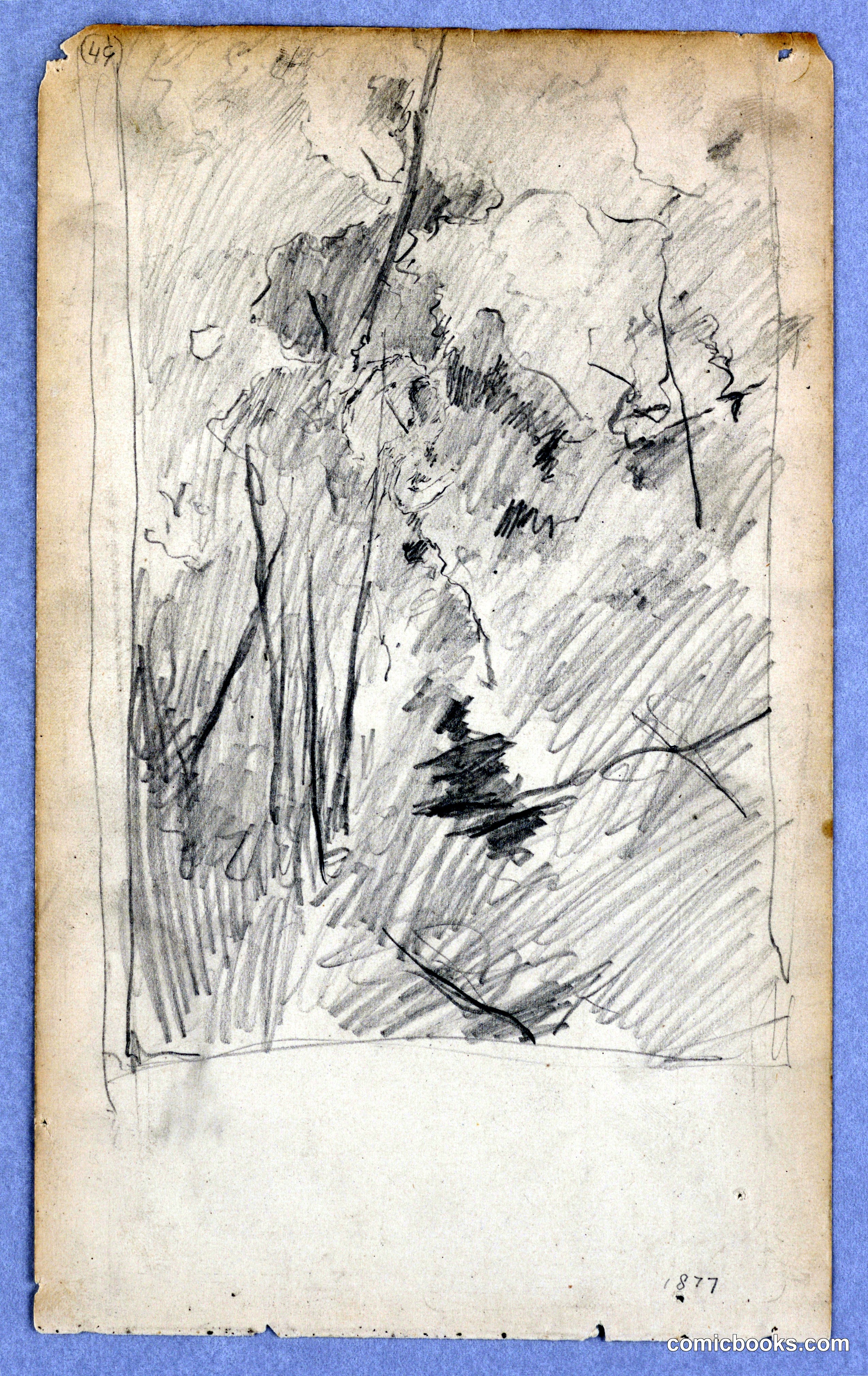 Landscape Study