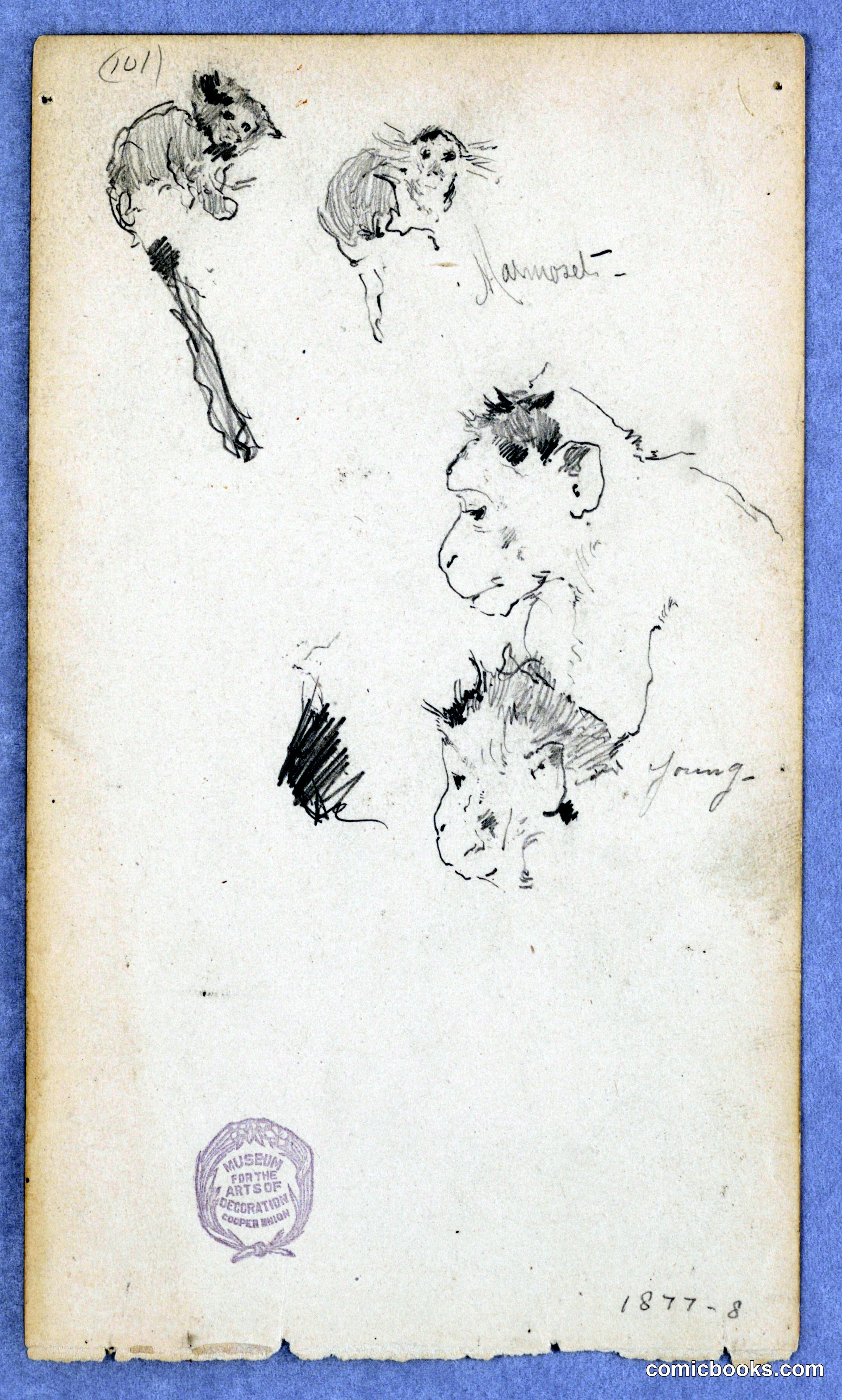 Study Sheet with Figures and Animals