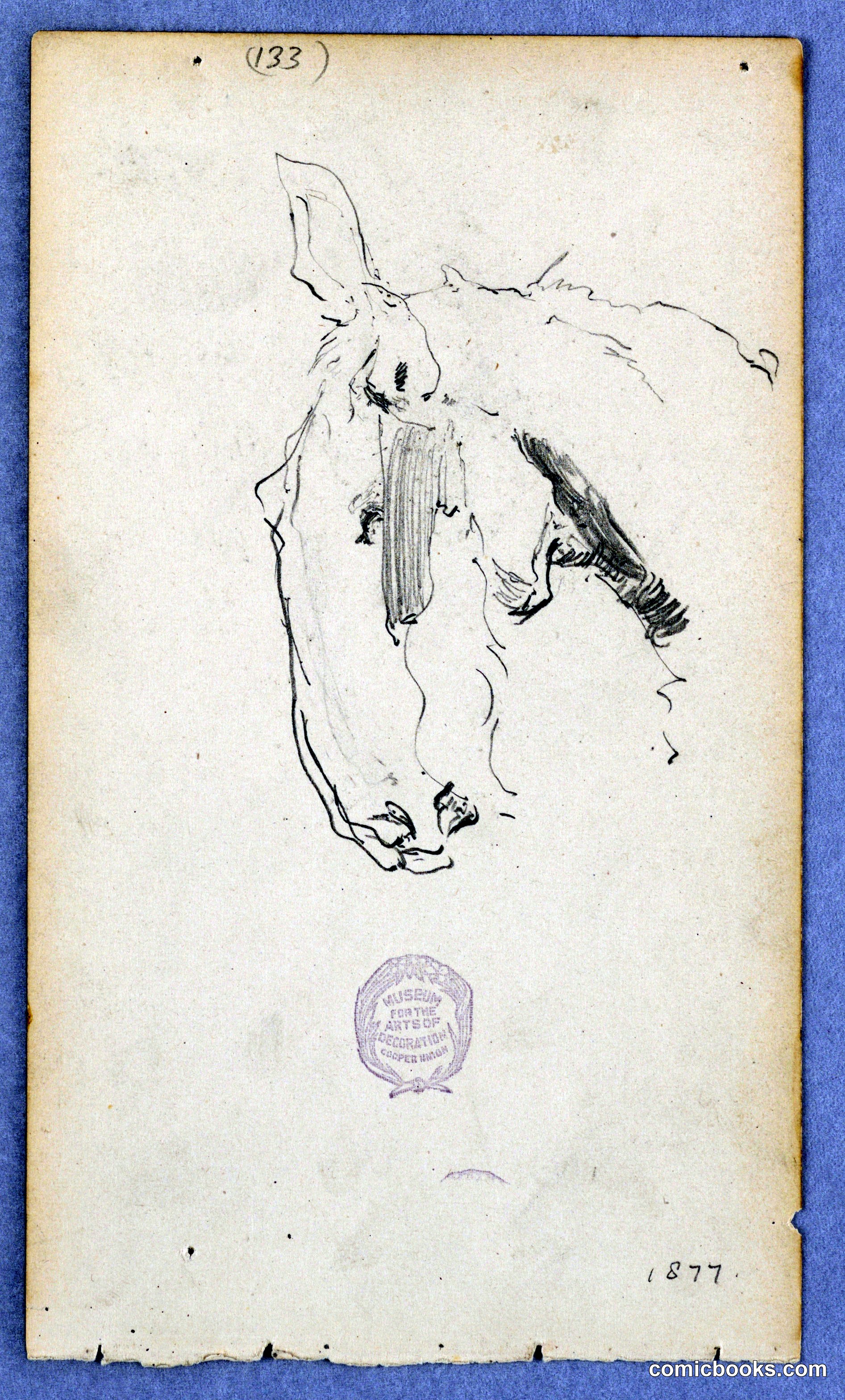 Horse Study