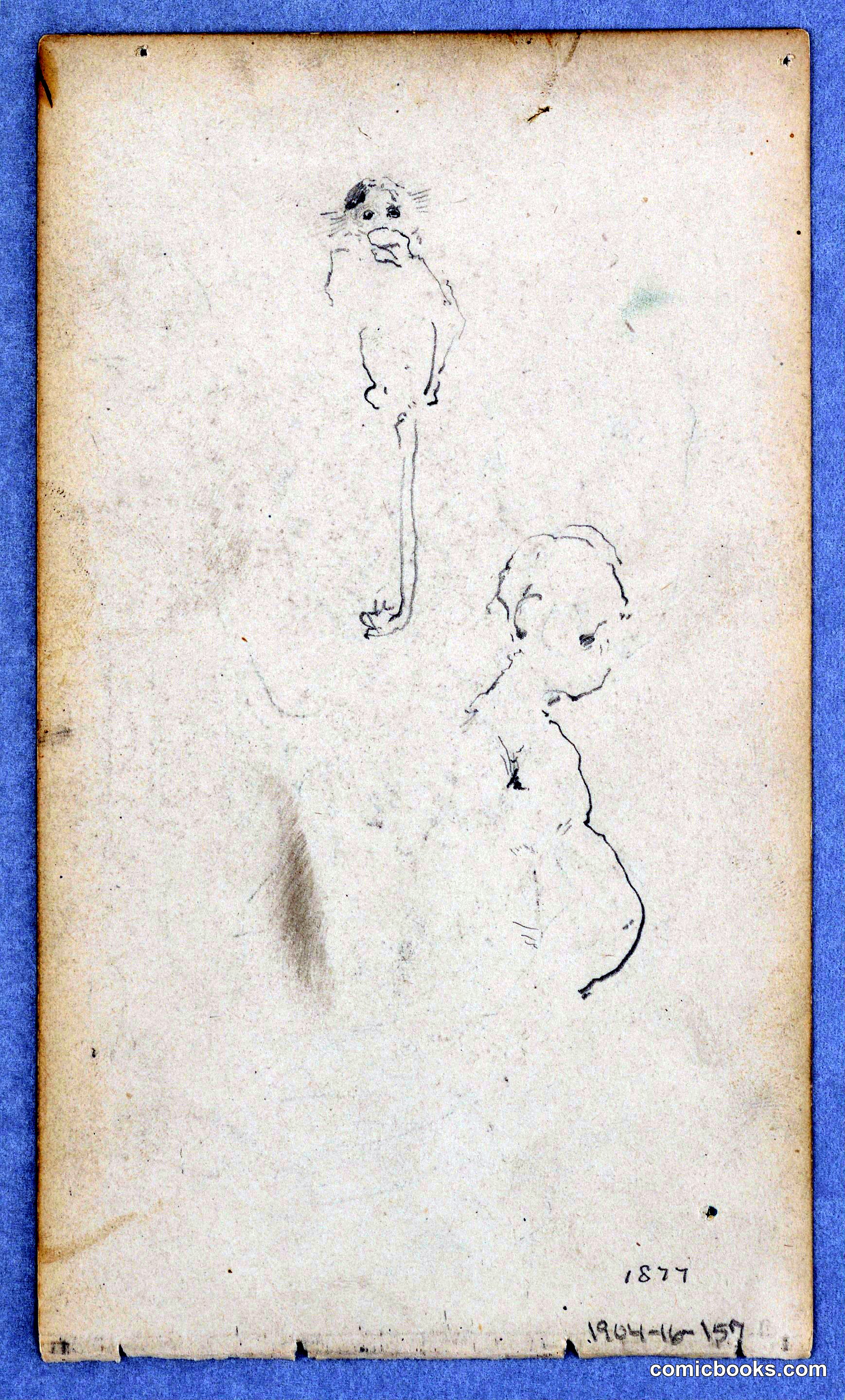 Study of a Monkey