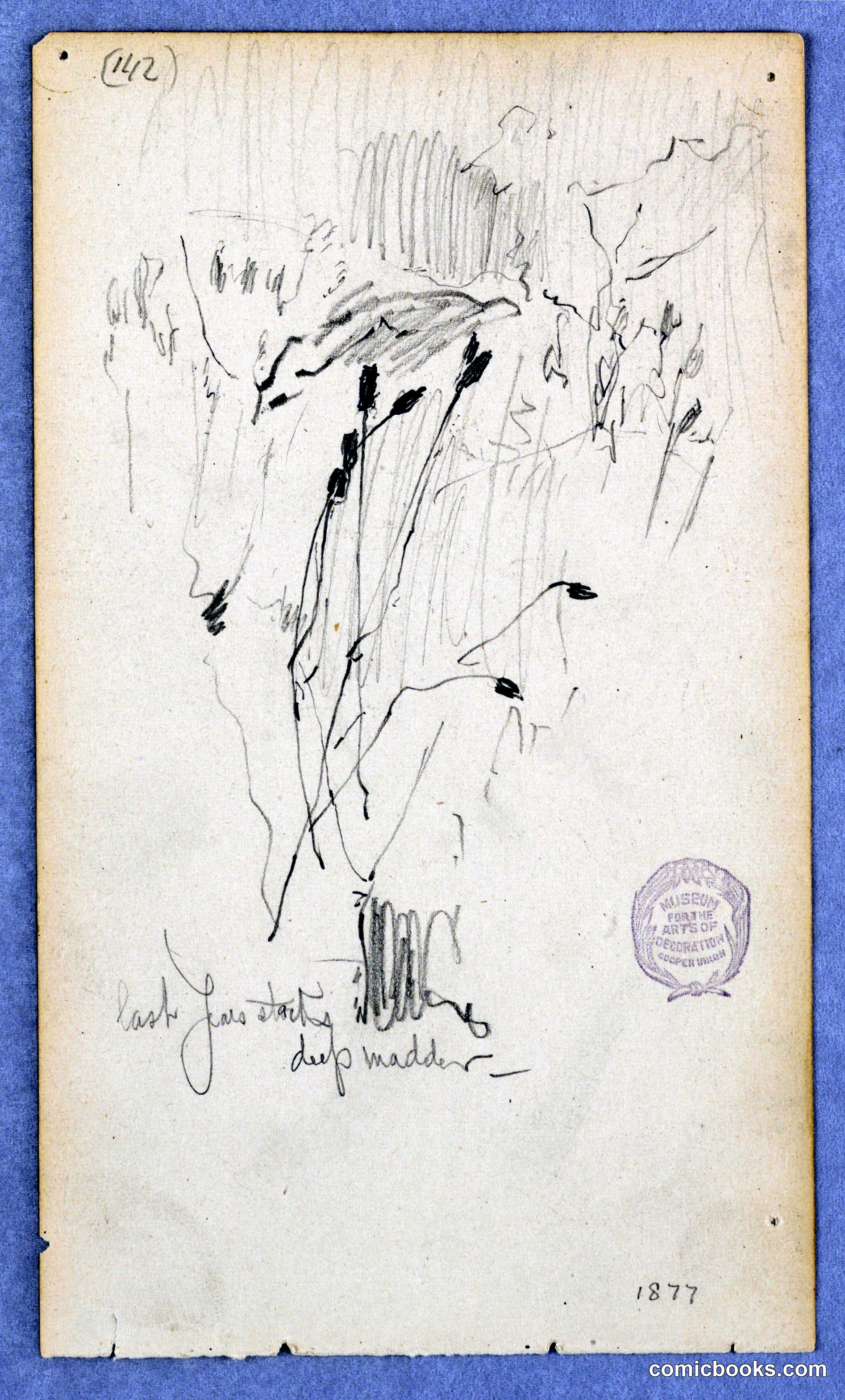 Study for Madder