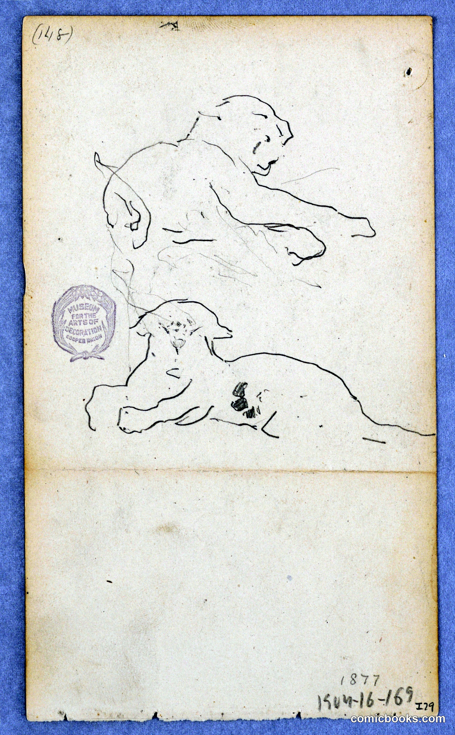 Study of Dogs