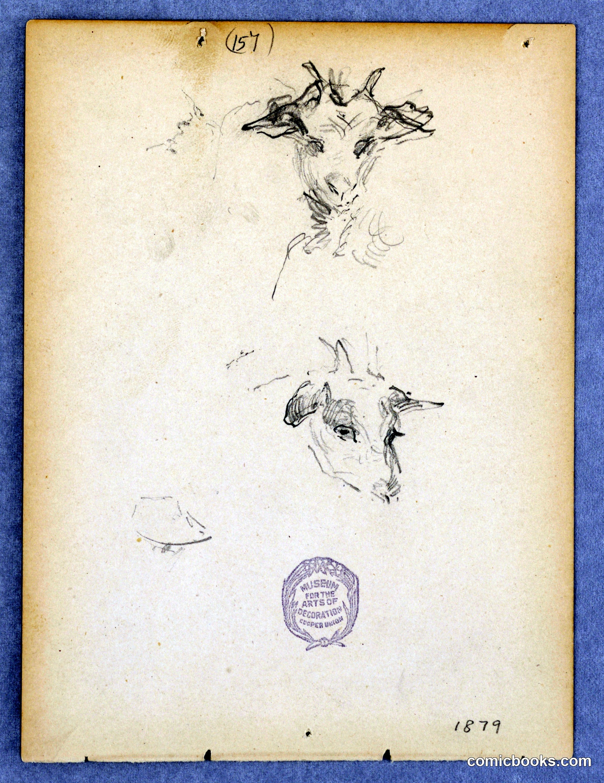 Study of a Goat