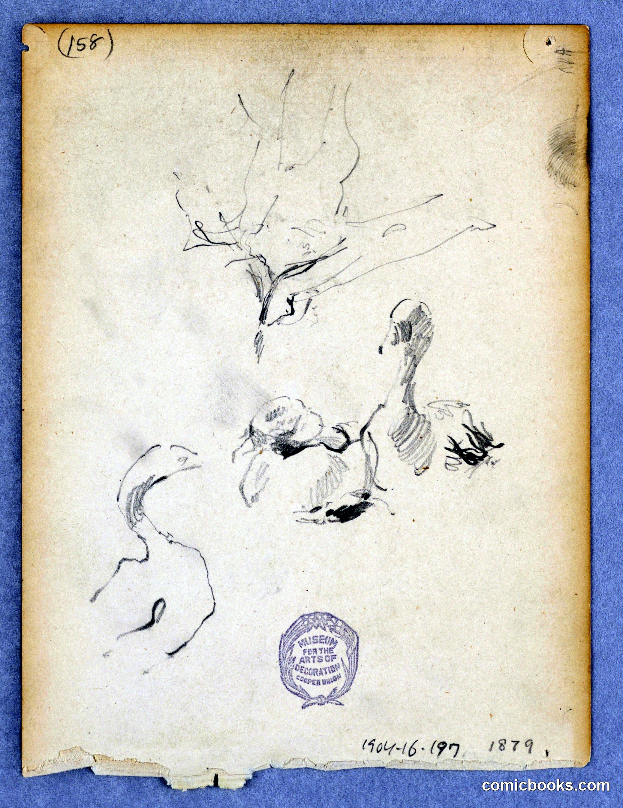 Study of Ducks