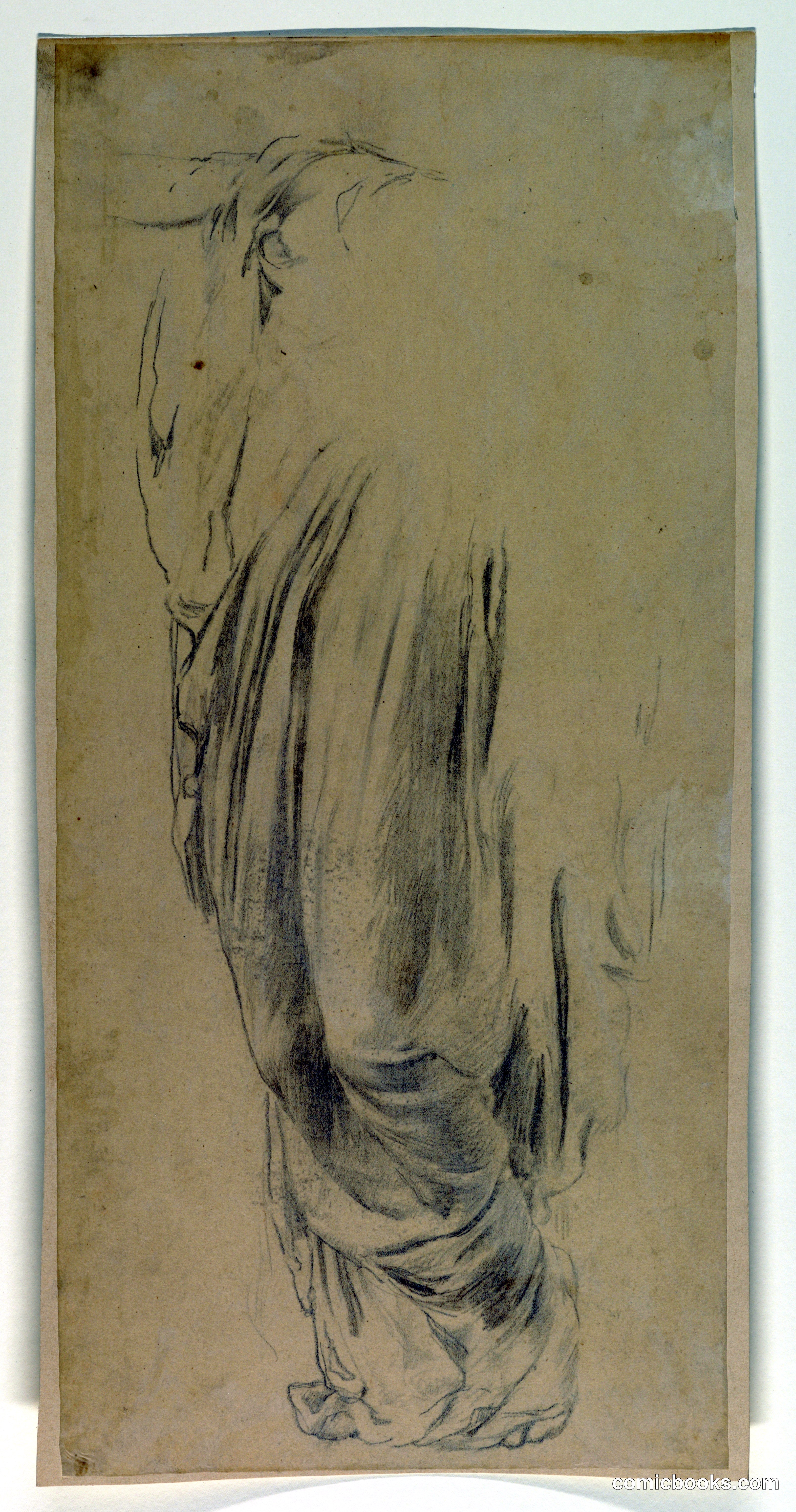 Study for a Woman