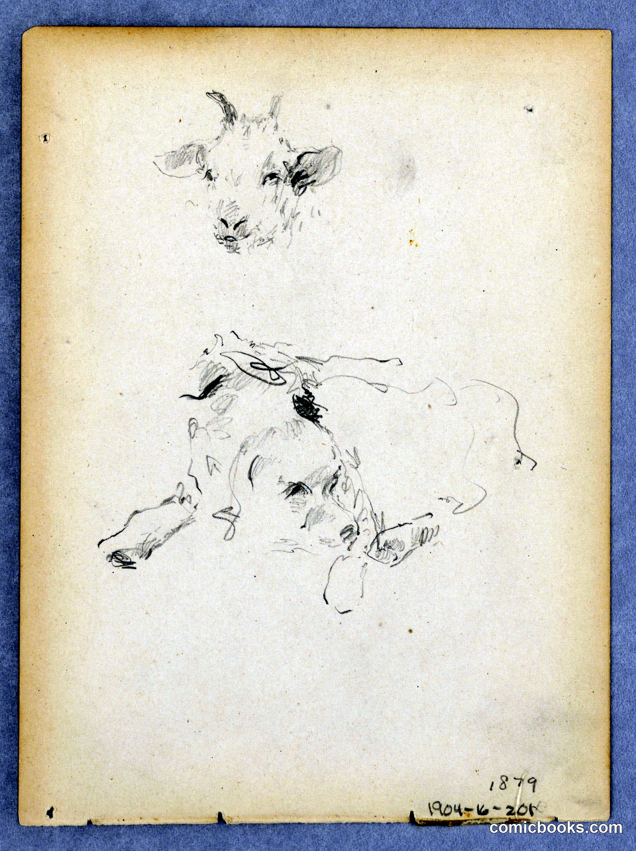 Dog and Goat Study