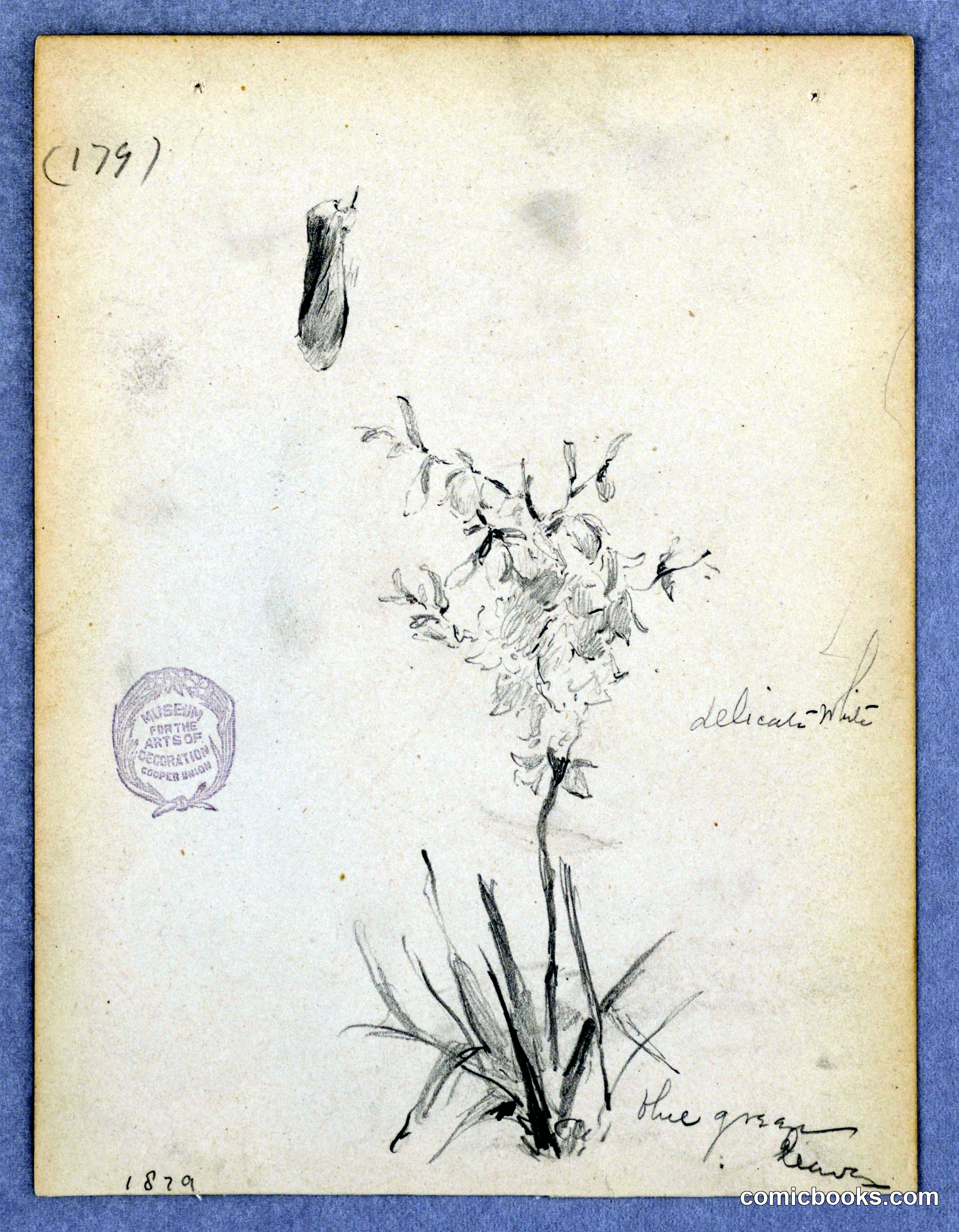 Flowering Plant Study