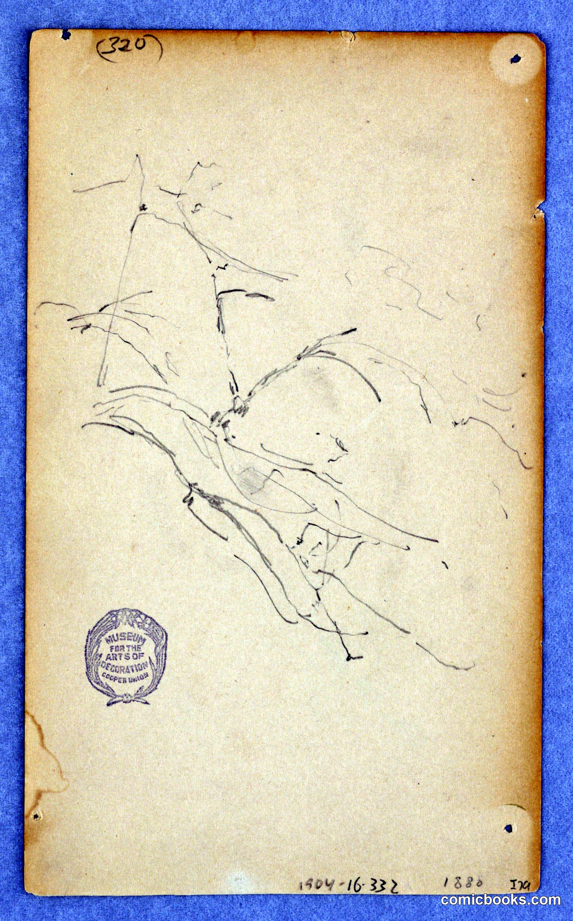 Study of Branches