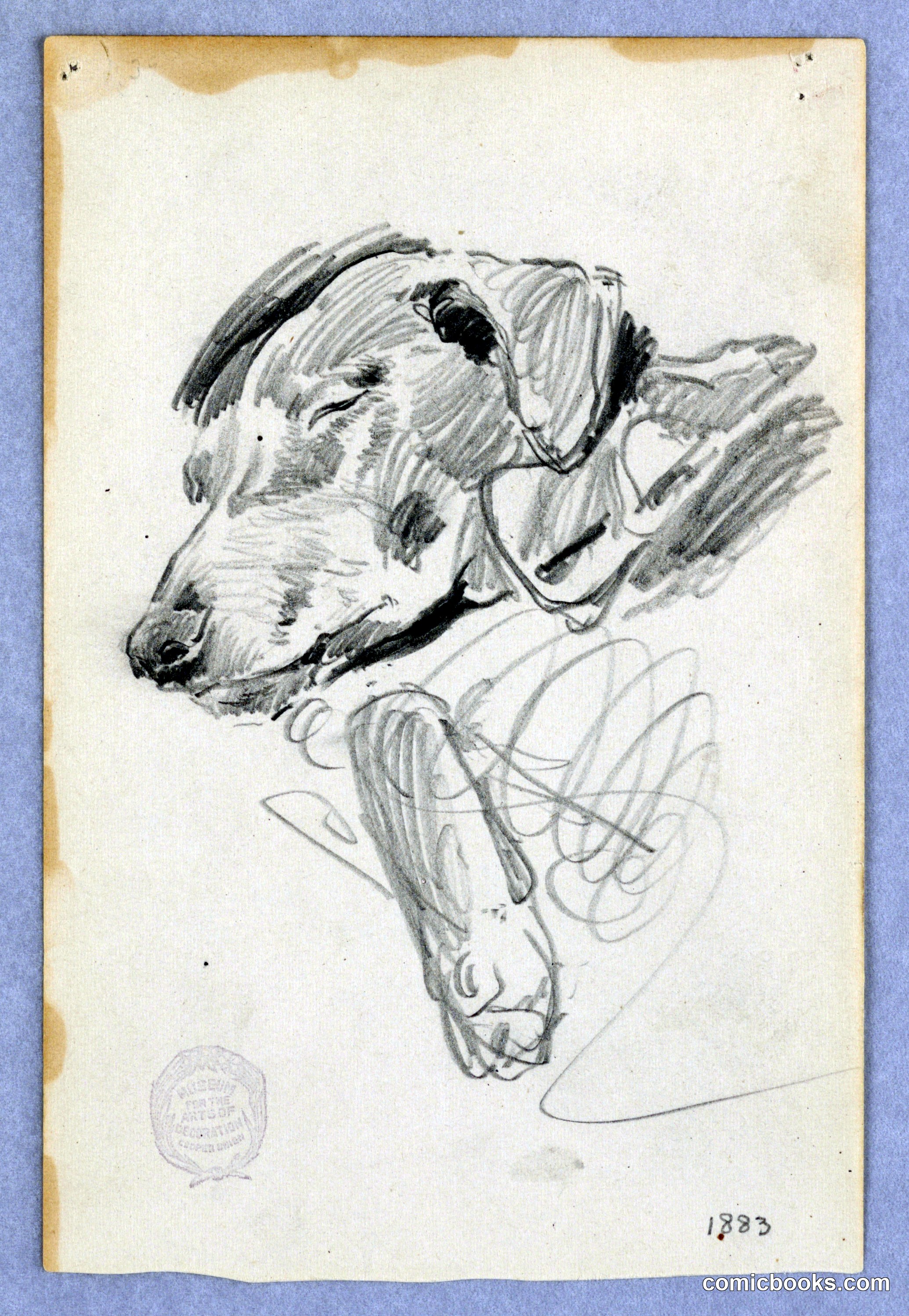 Study of a Dog