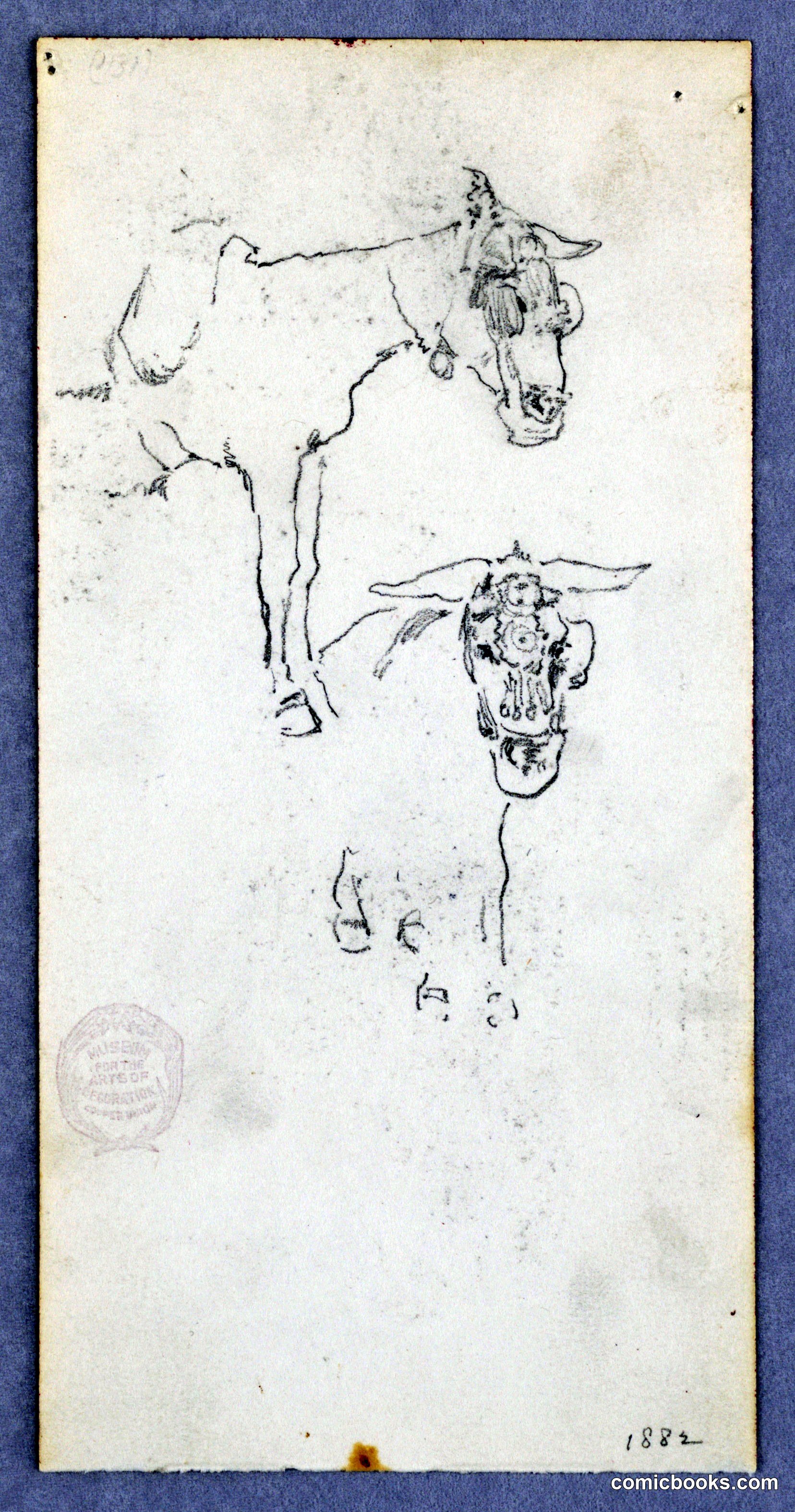 Donkey Studies